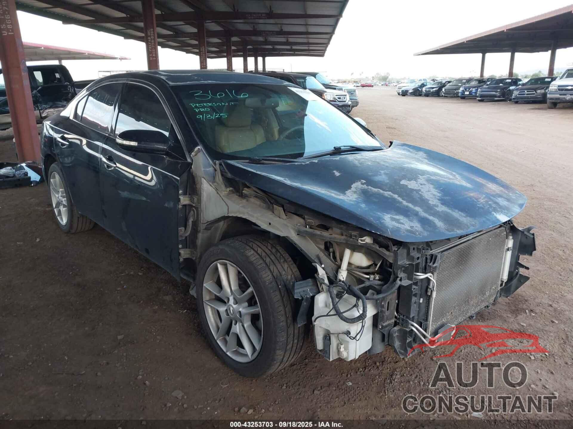 NISSAN MAXIMA 2010 - 1N4AA5AP4AC847443