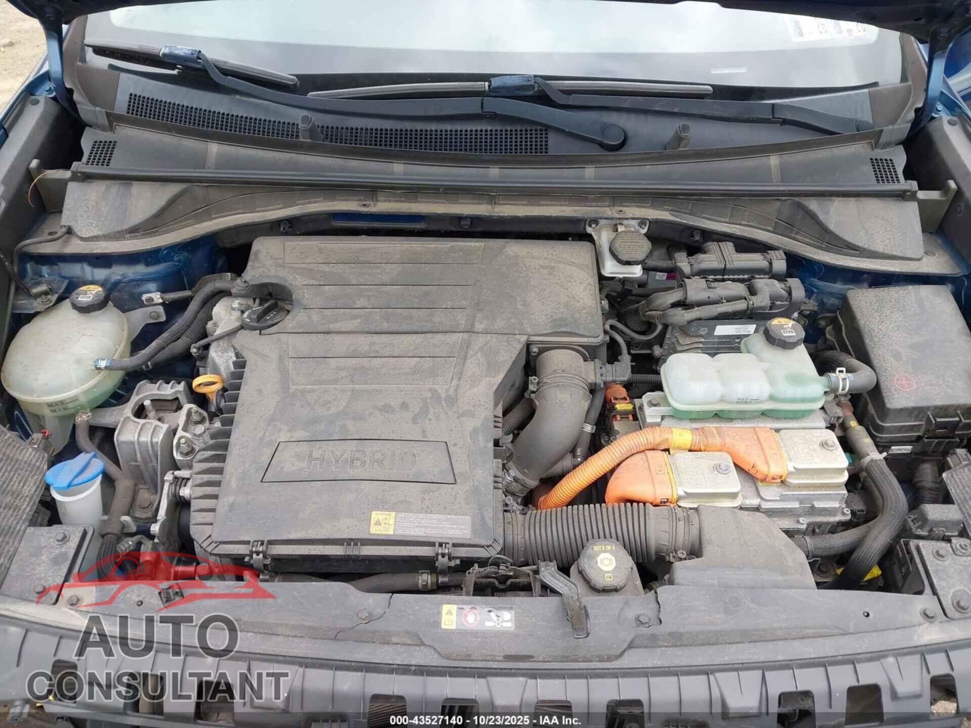 KIA NIRO 2019 - KNDCB3LC8K5265334