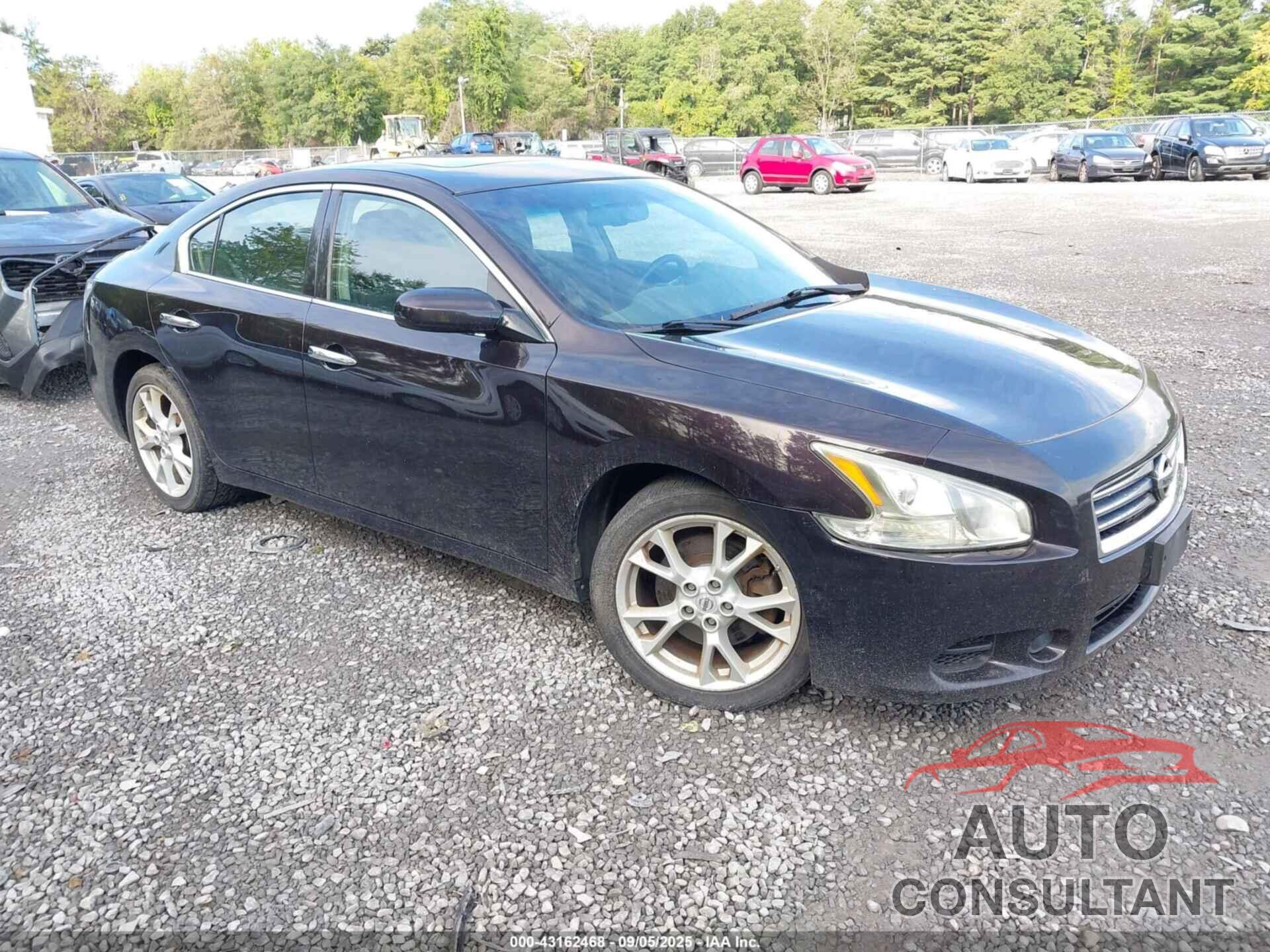 NISSAN MAXIMA 2013 - 1N4AA5AP6DC805375