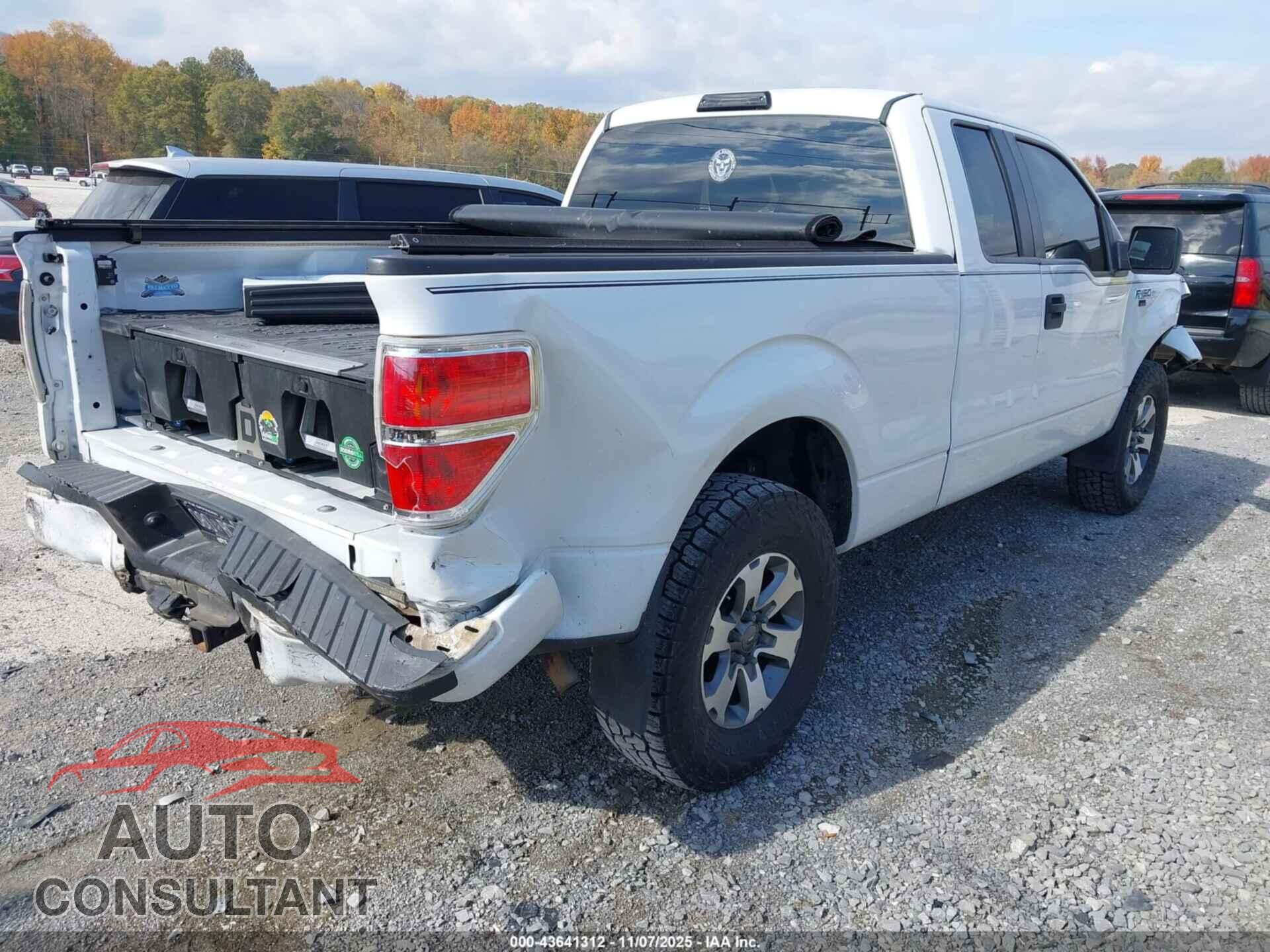 FORD F-150 2013 - 1FTFX1EFXDFD90908