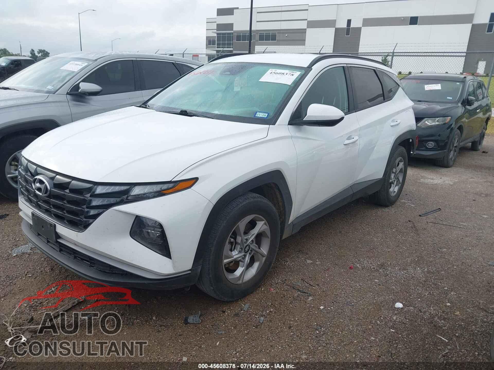 HYUNDAI TUCSON 2024 - 5NMJB3DE2RH395382
