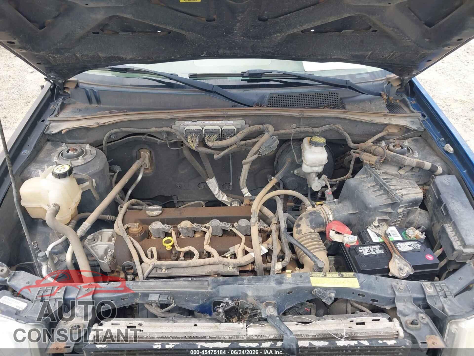 FORD ESCAPE 2011 - 1FMCU0D75BKC51169