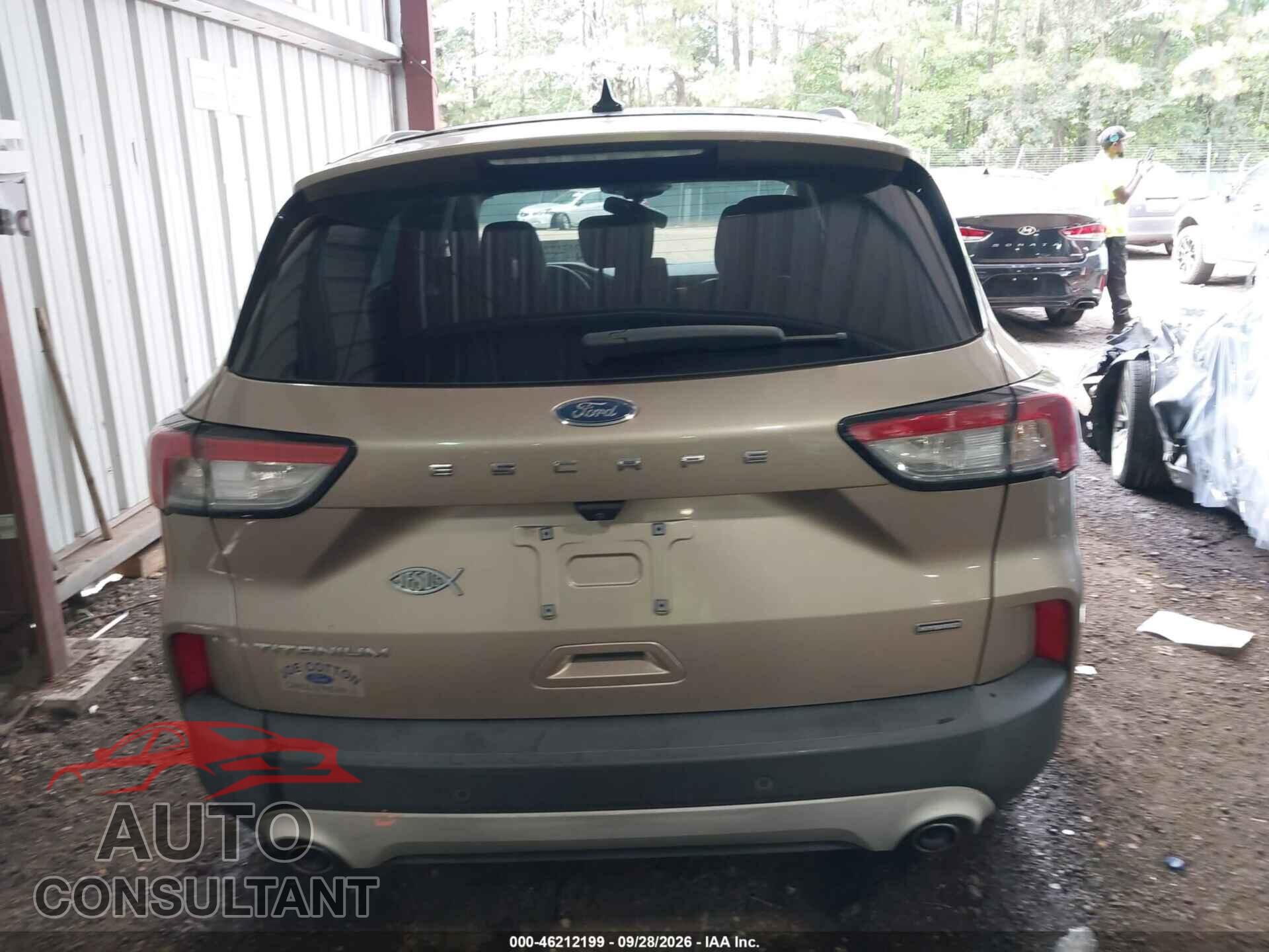 FORD ESCAPE 2020 - 1FMCU0DZXLUA70656