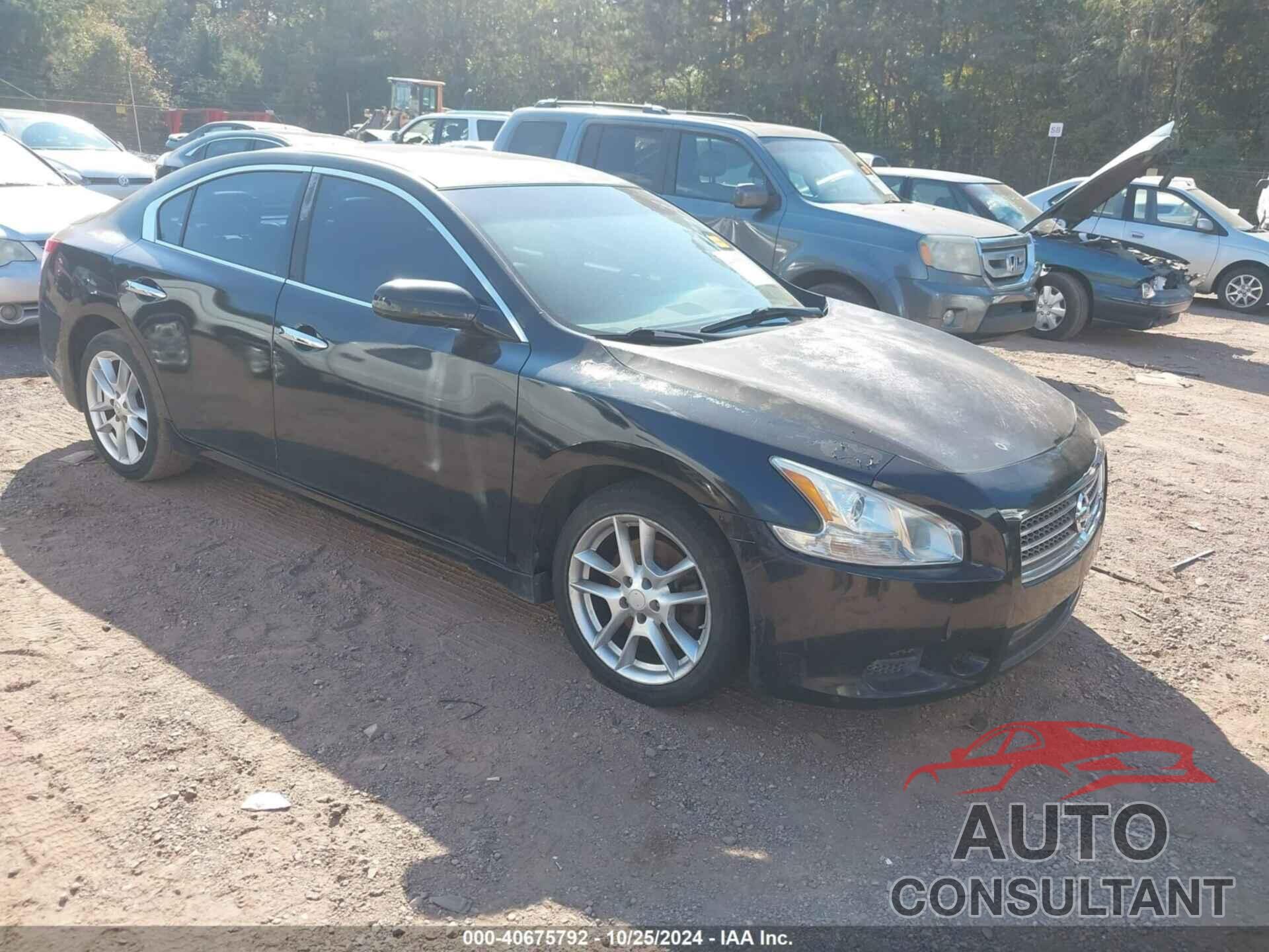 NISSAN MAXIMA 2011 - 1N4AA5AP1BC828298