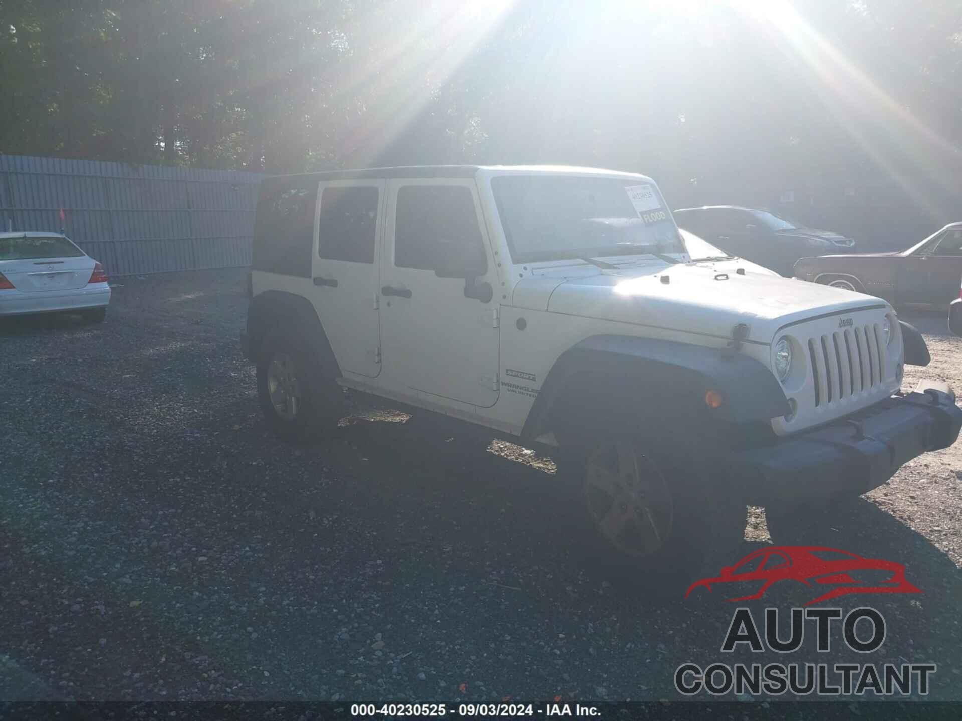 JEEP WRANGLER UNLIMITED 2017 - 1C4BJWDGXHL690771
