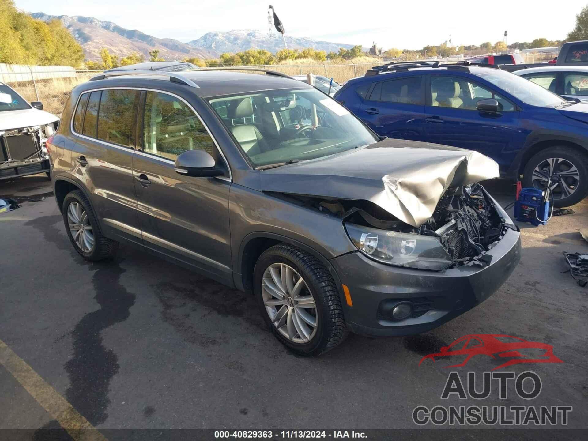 VOLKSWAGEN TIGUAN 2013 - WVGBV7AX2DW003379