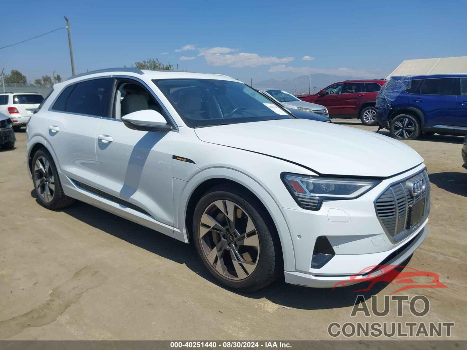 AUDI E-TRON 2022 - WA1LAAGE9NB022893