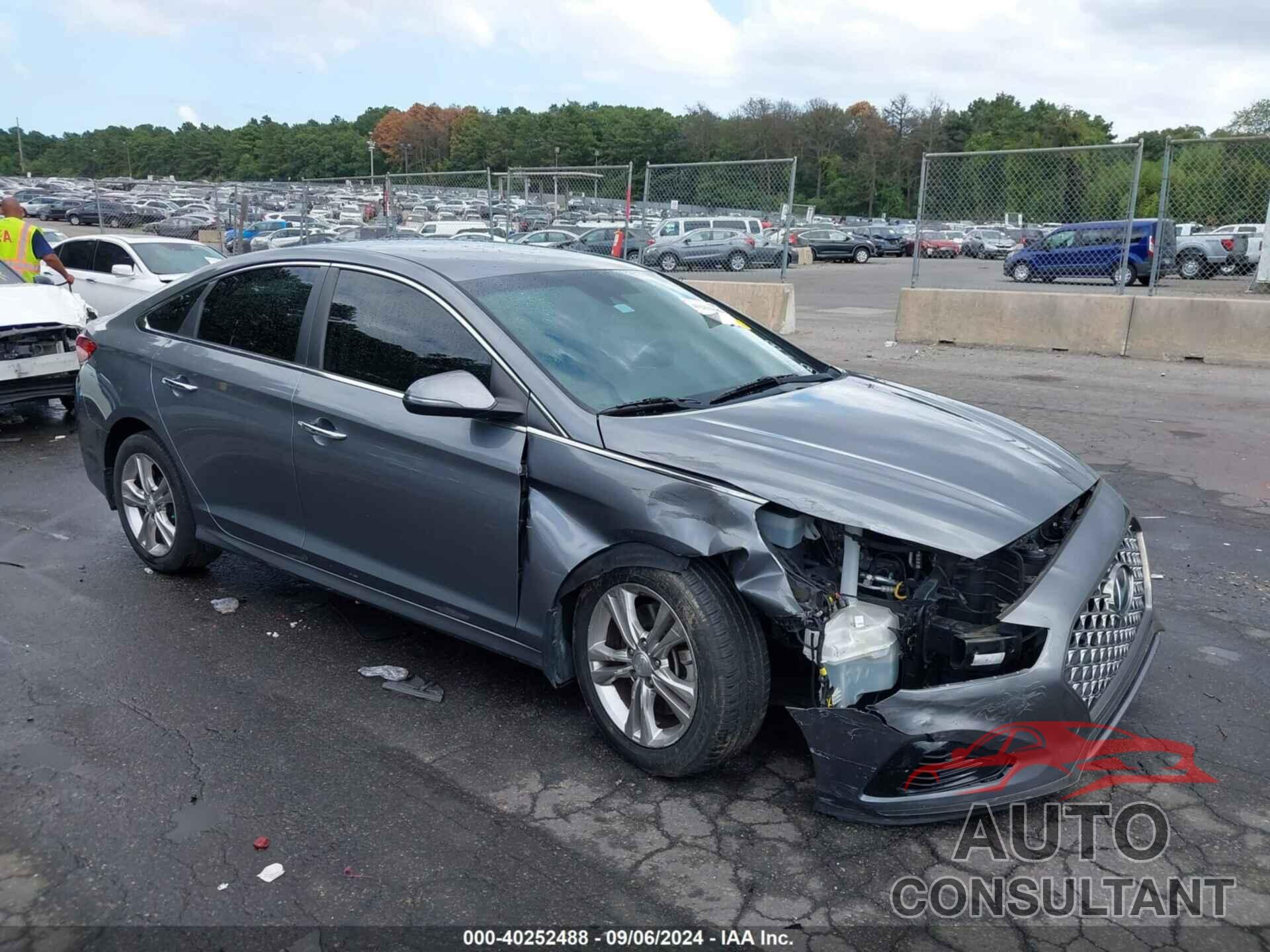 HYUNDAI SONATA 2019 - 5NPE34AFXKH759655