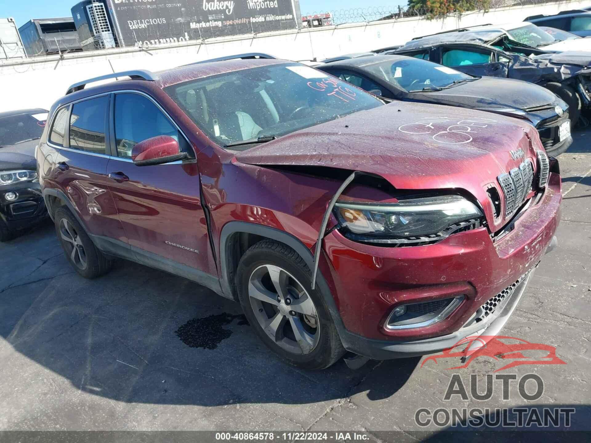 JEEP CHEROKEE 2019 - 1C4PJLDN1KD175288