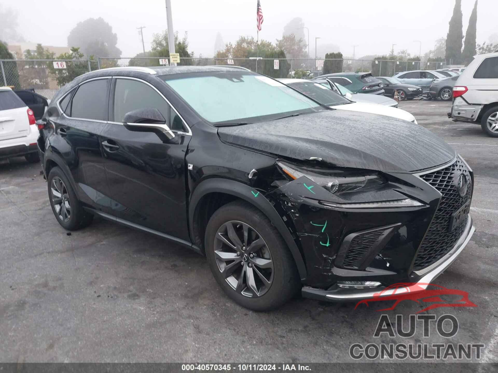 LEXUS NX 2019 - JTJYARBZ1K2125948