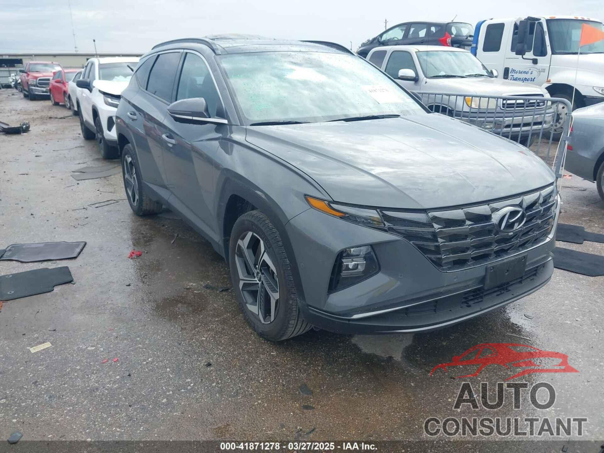 HYUNDAI TUCSON 2024 - 5NMJECDE6RH308767
