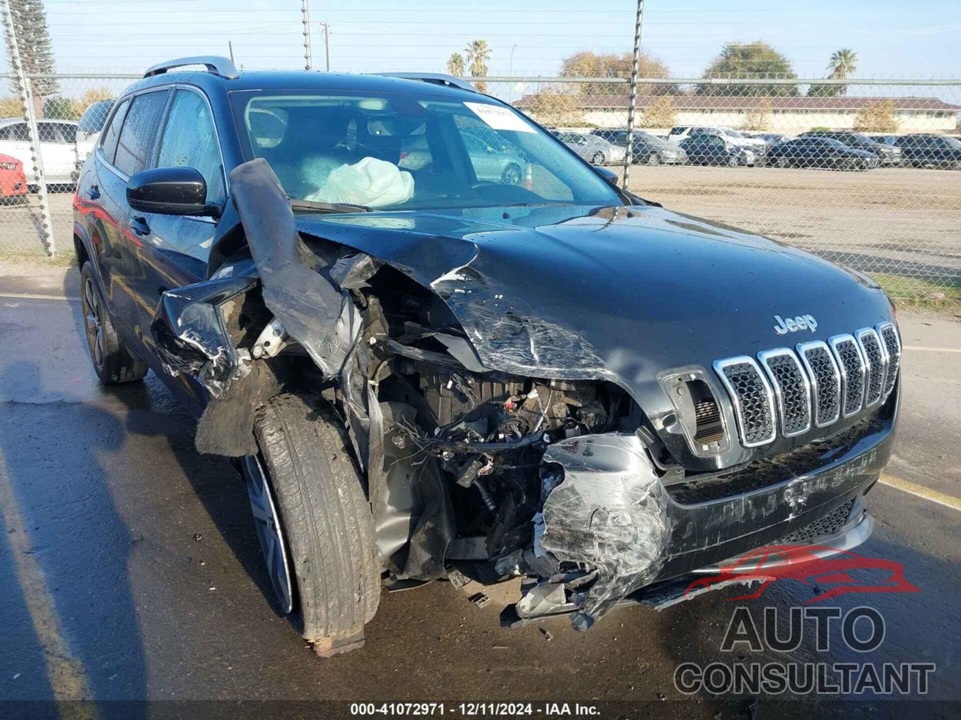 JEEP CHEROKEE 2019 - 1C4PJLDB7KD488450
