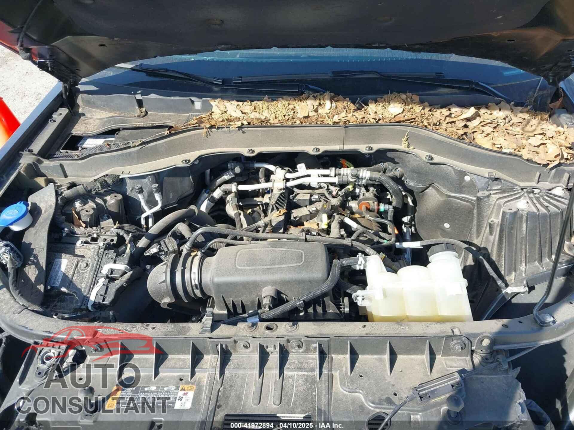FORD EXPLORER 2022 - 1FMSK7DHXNGA30211