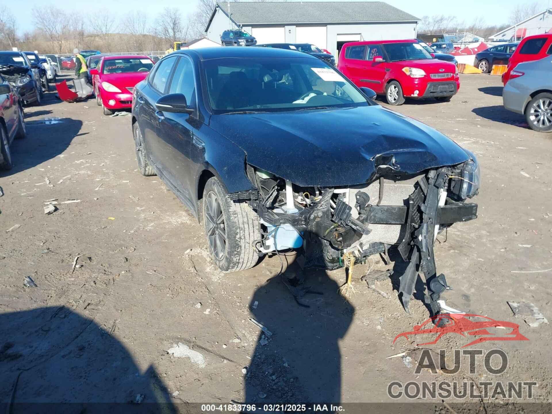 KIA OPTIMA 2019 - 5XXGT4L31KG355781