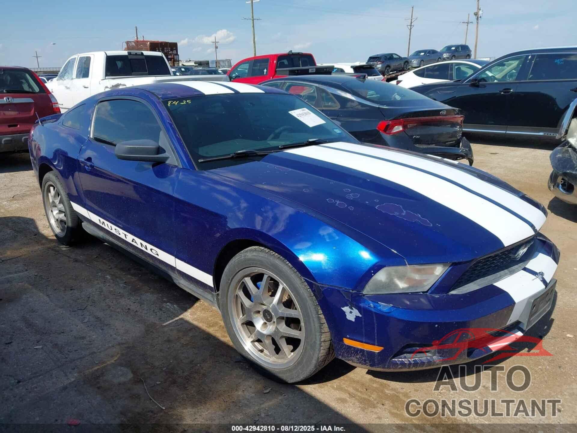 FORD MUSTANG 2010 - 1ZVBP8AN1A5142999