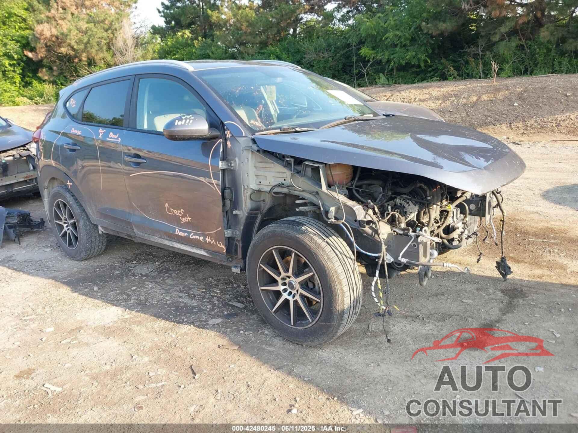 HYUNDAI TUCSON 2016 - KM8J3CA4XGU207587