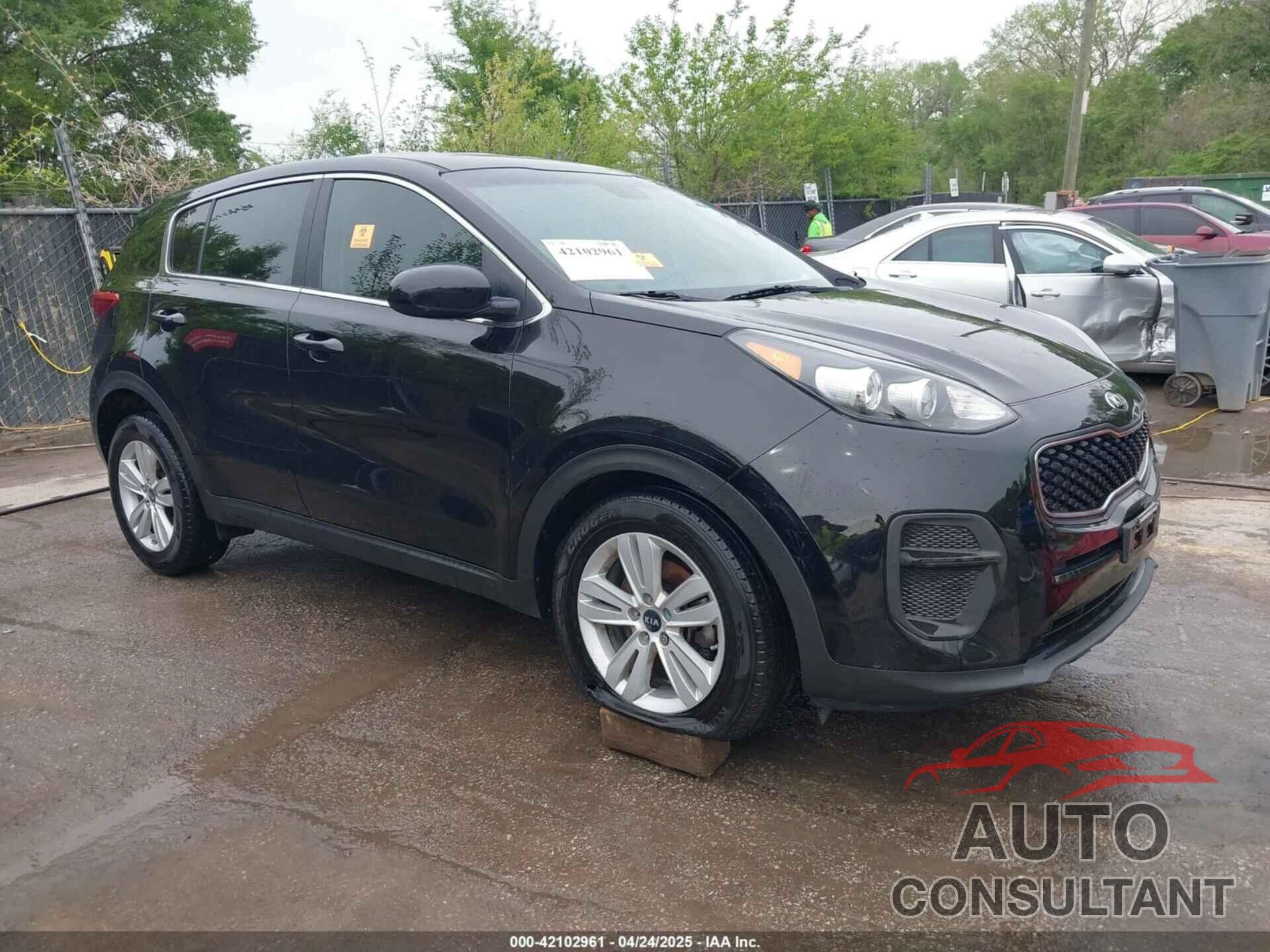 KIA SPORTAGE 2017 - KNDPM3AC4H7279470