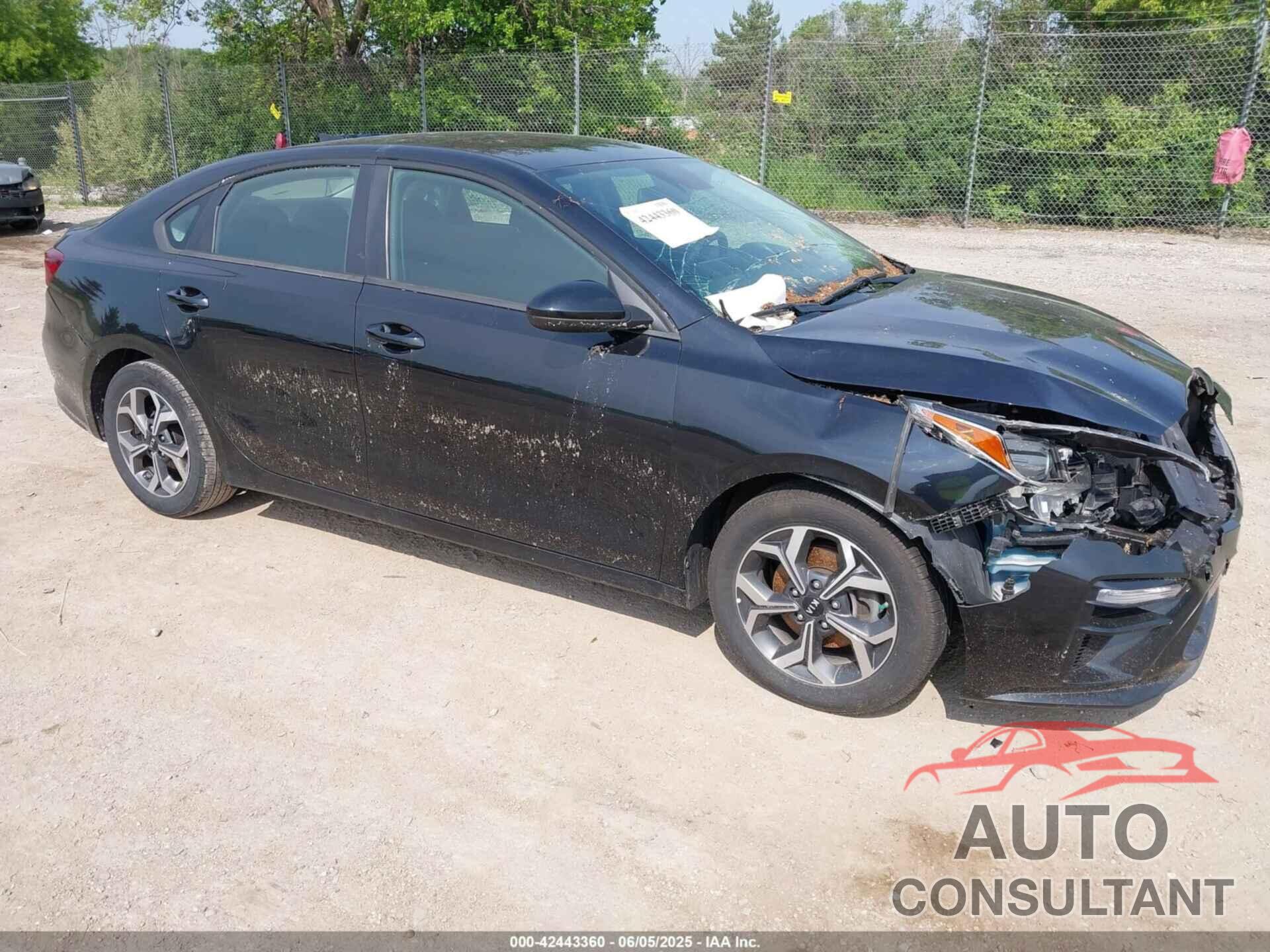 KIA FORTE 2019 - 3KPF24AD9KE099585