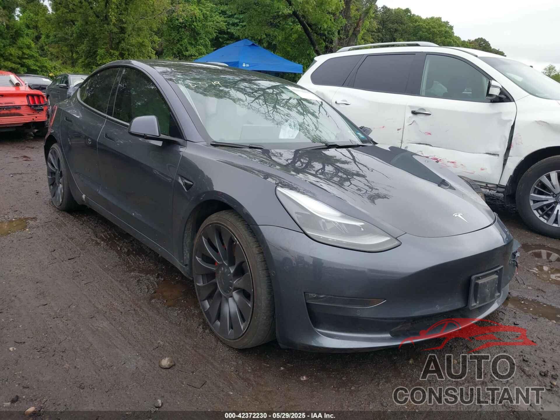 TESLA MODEL 3 2021 - 5YJ3E1EC3MF056187