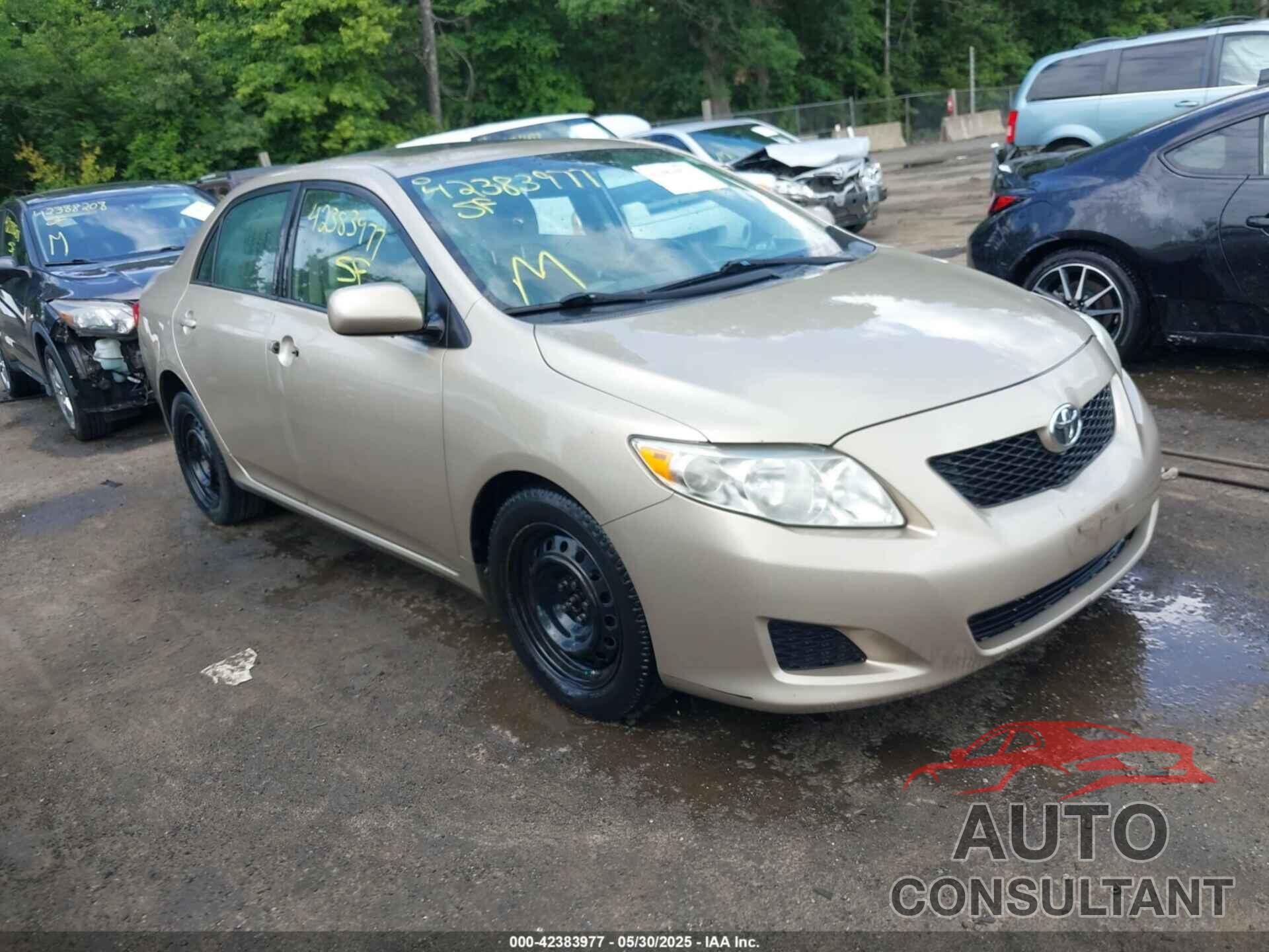 TOYOTA COROLLA 2010 - 2T1BU4EEXAC498126