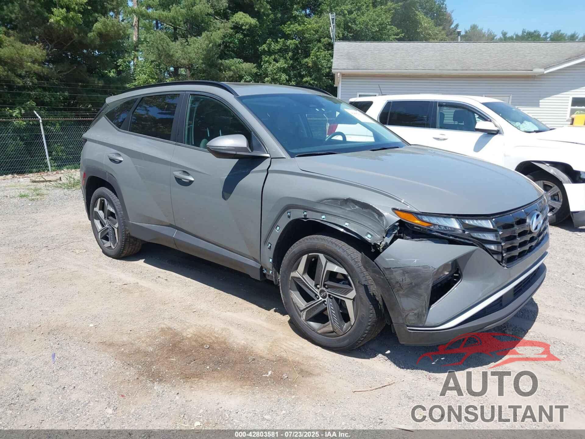 HYUNDAI TUCSON 2024 - 5NMJFCDE8RH318889