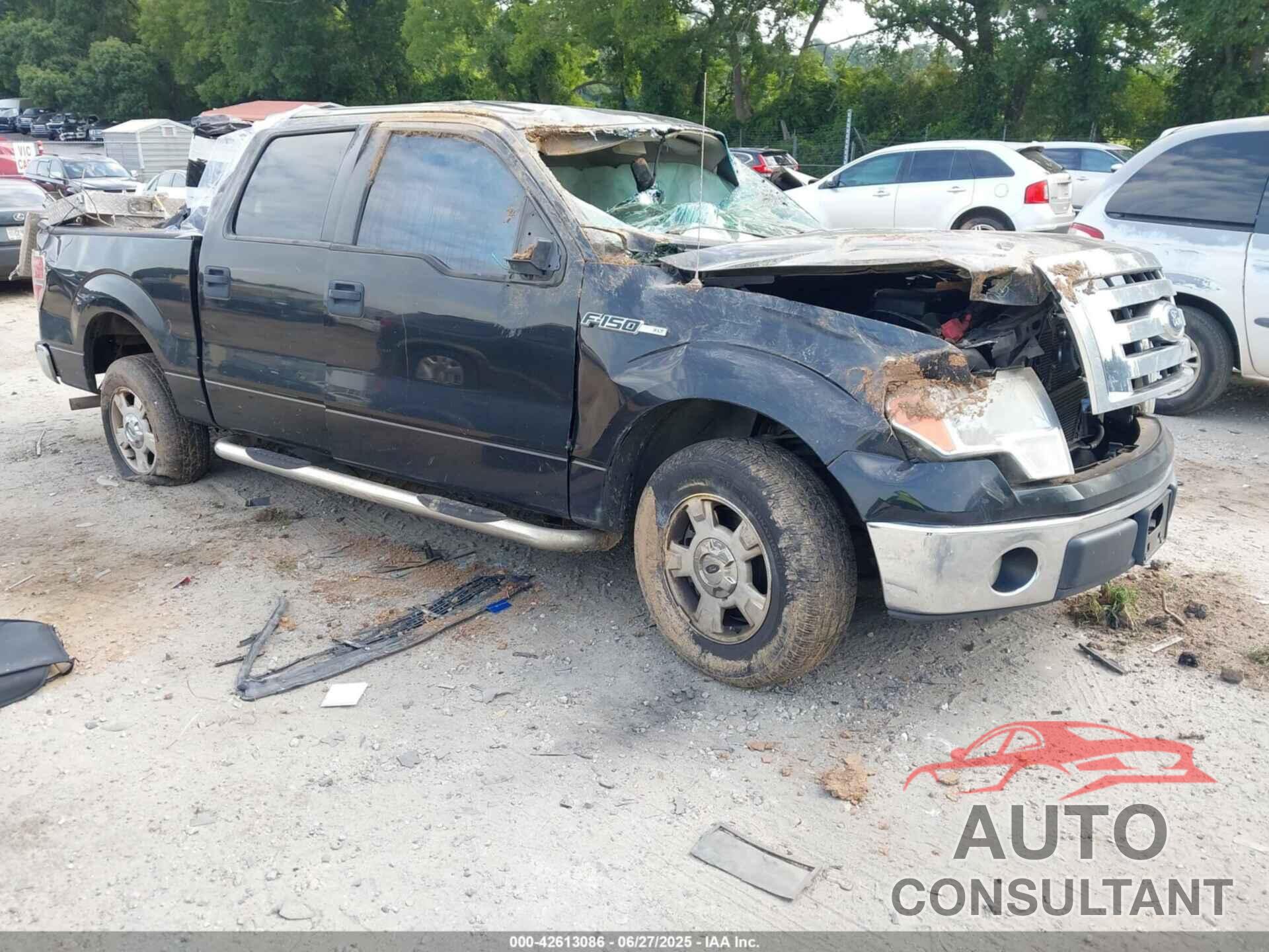 FORD F150 2010 - 1FTFW1CV7AFB47985