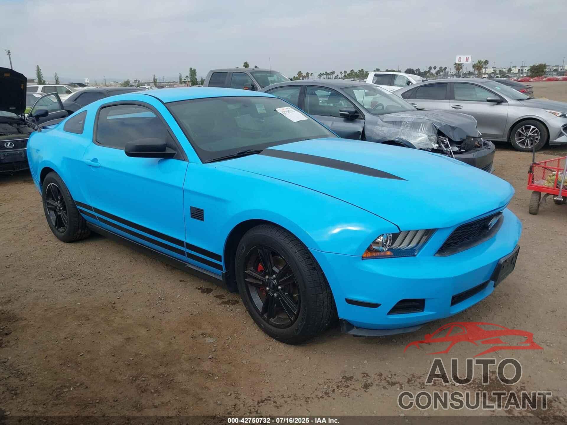 FORD MUSTANG 2010 - 1ZVBP8AN6A5143680