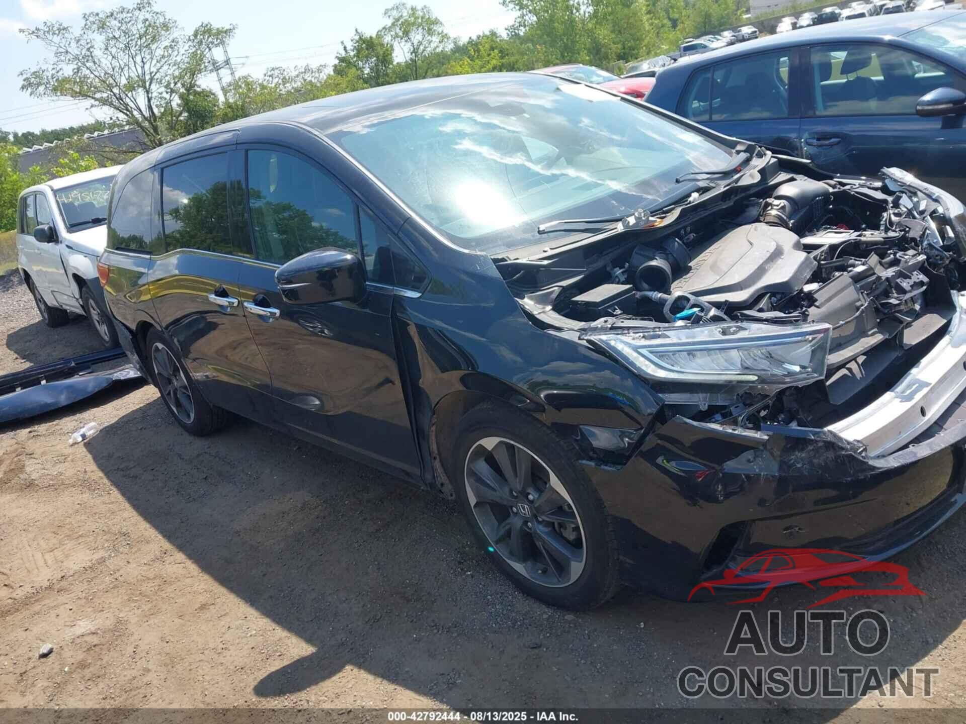 HONDA ODYSSEY 2024 - 5FNRL6H92RB042897