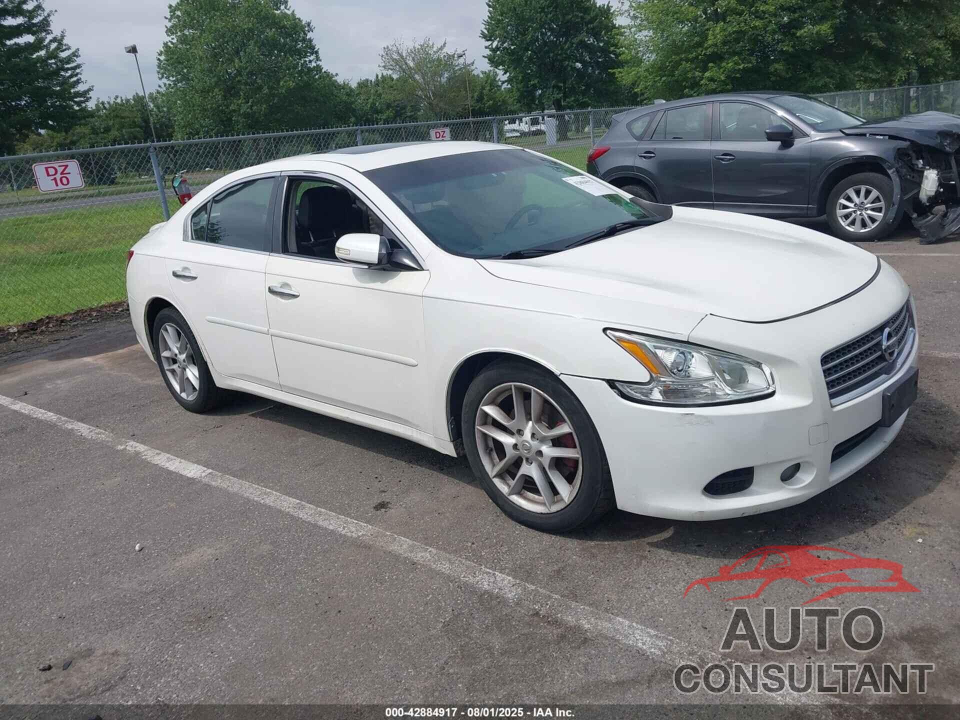 NISSAN MAXIMA 2009 - 1N4AA51E49C827199
