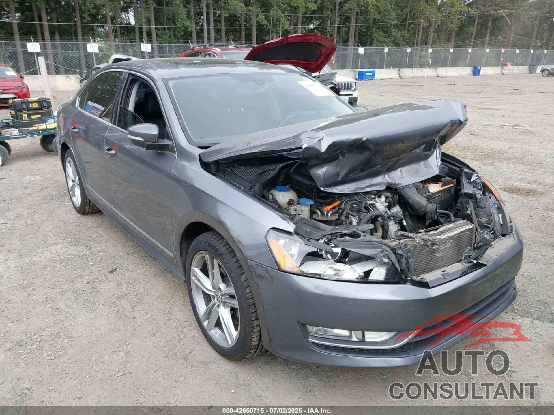 VOLKSWAGEN PASSAT 2013 - 1VWCN7A33DC011432