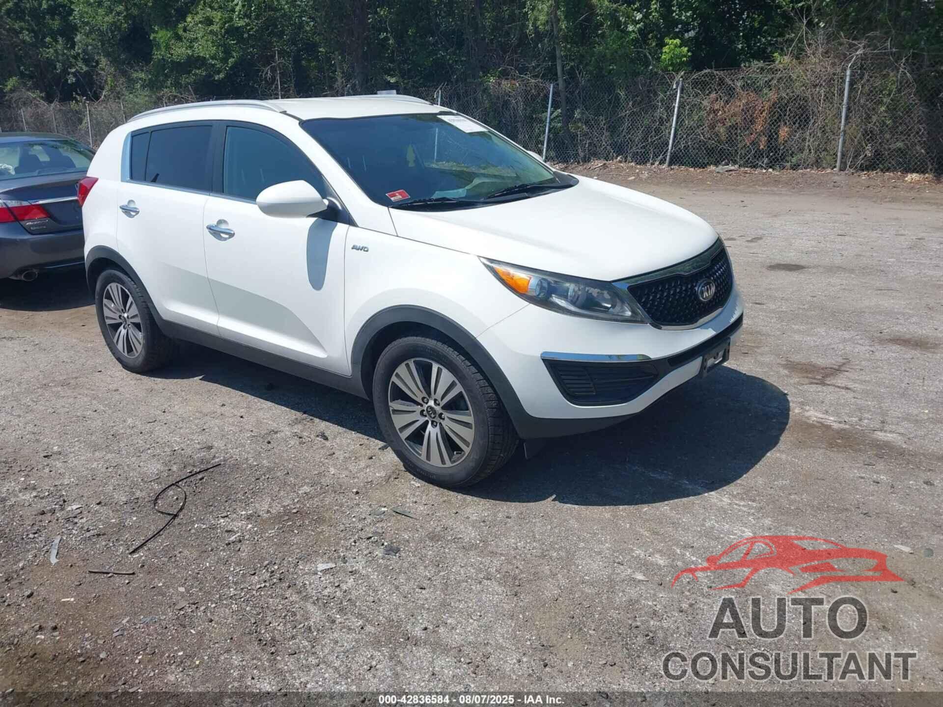 KIA SPORTAGE 2016 - KNDPCCAC3G7826777