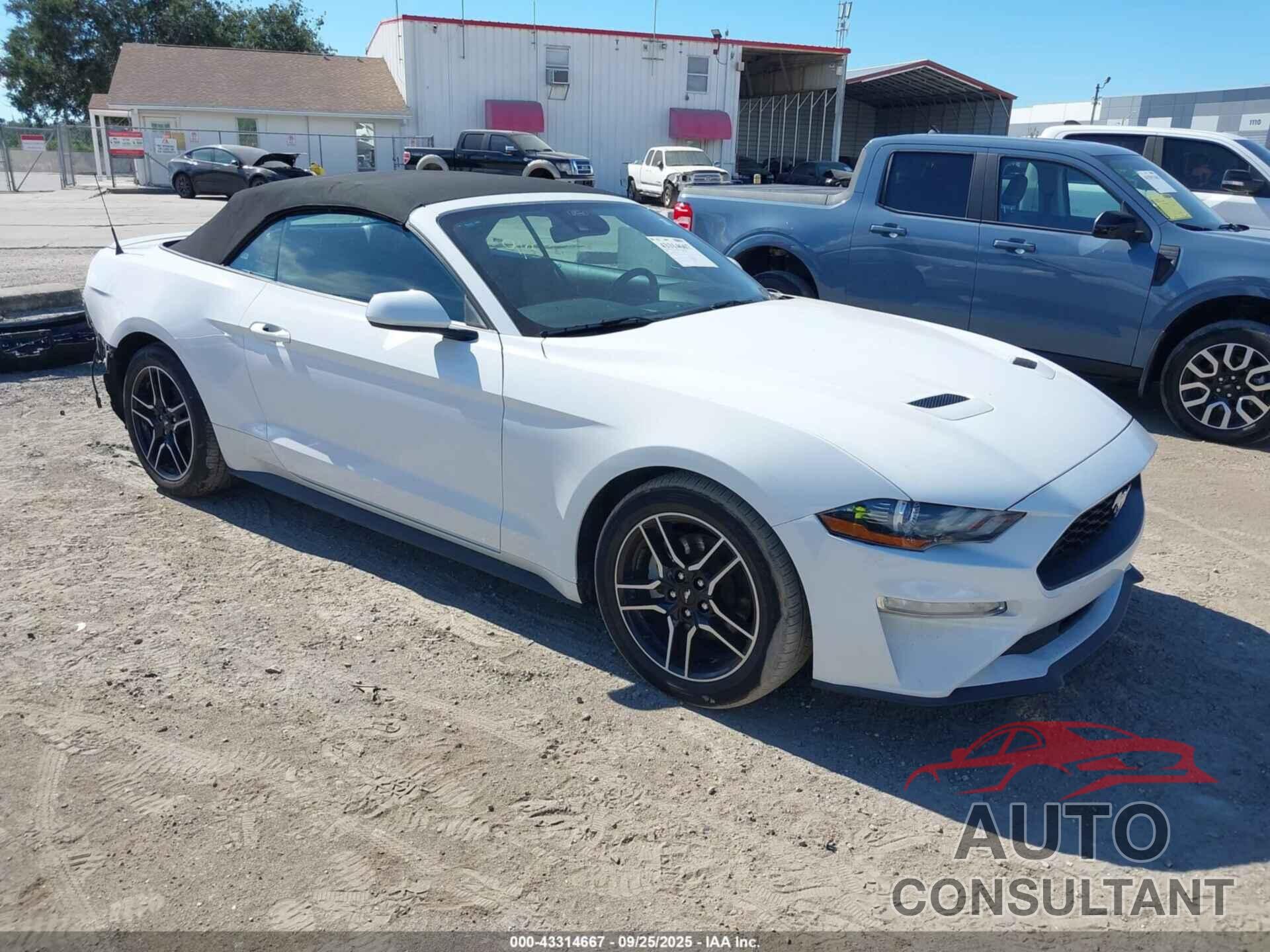 FORD MUSTANG 2022 - 1FATP8UH7N5102077