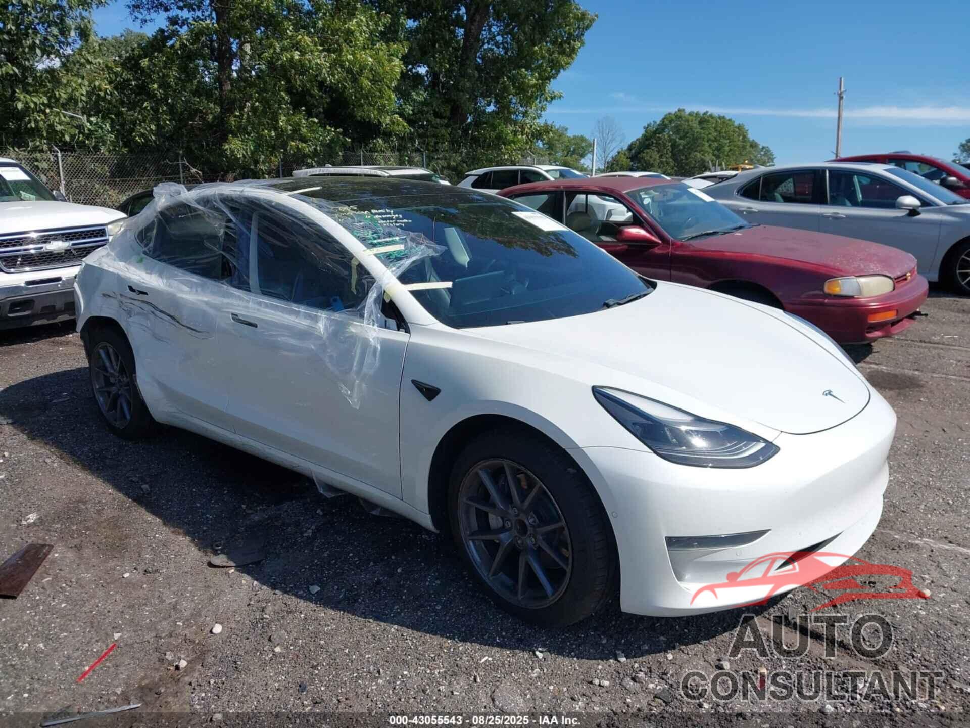 TESLA MODEL 3 2021 - 5YJ3E1EA7MF915246