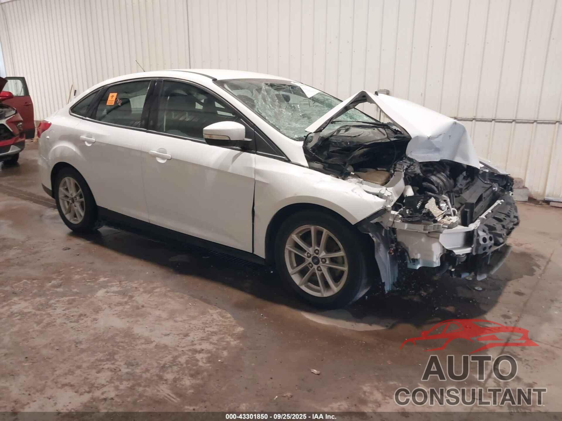 FORD FOCUS 2016 - 1FADP3F23GL365407