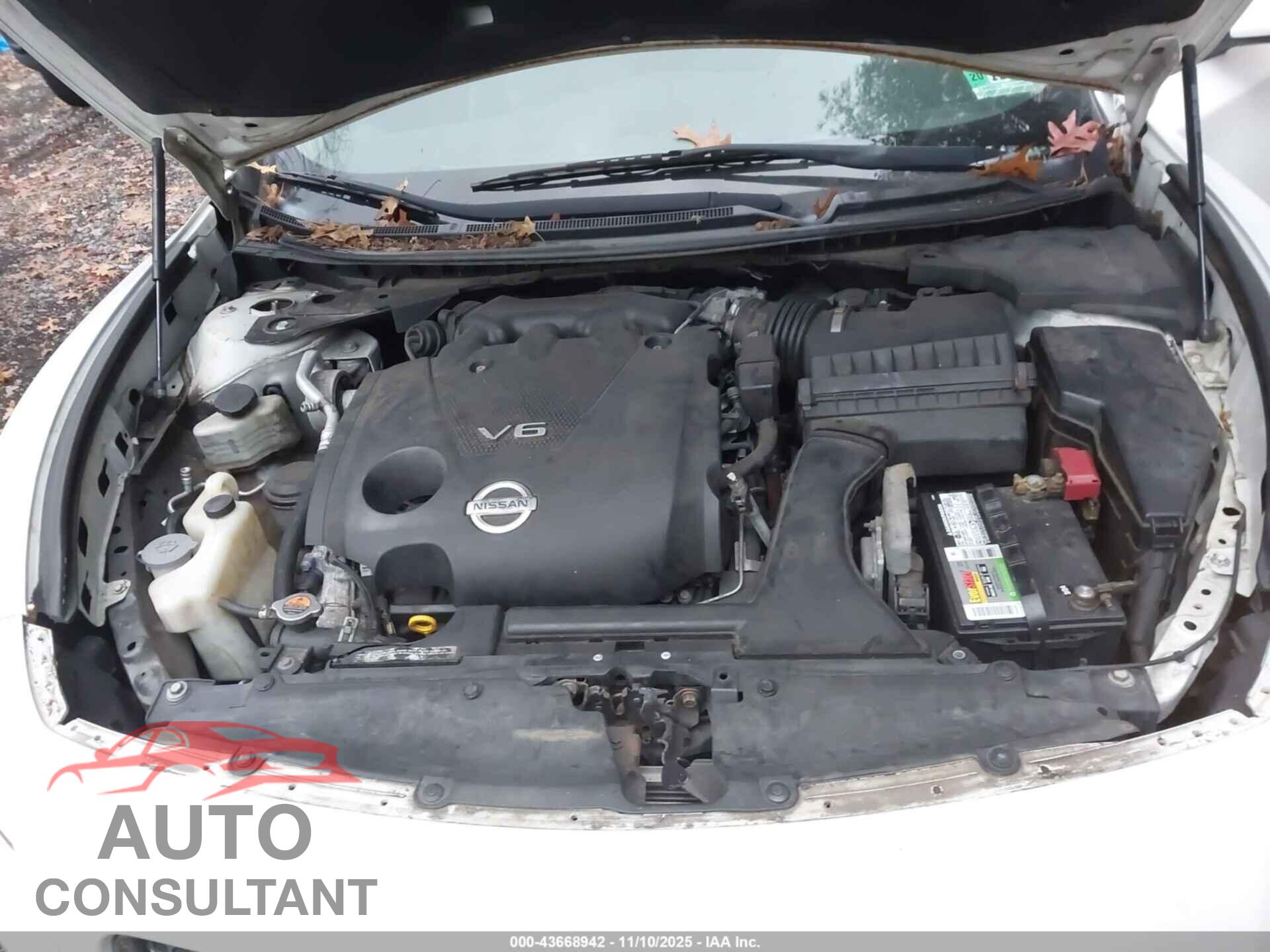 NISSAN MAXIMA 2013 - 1N4AA5AP1DC824822