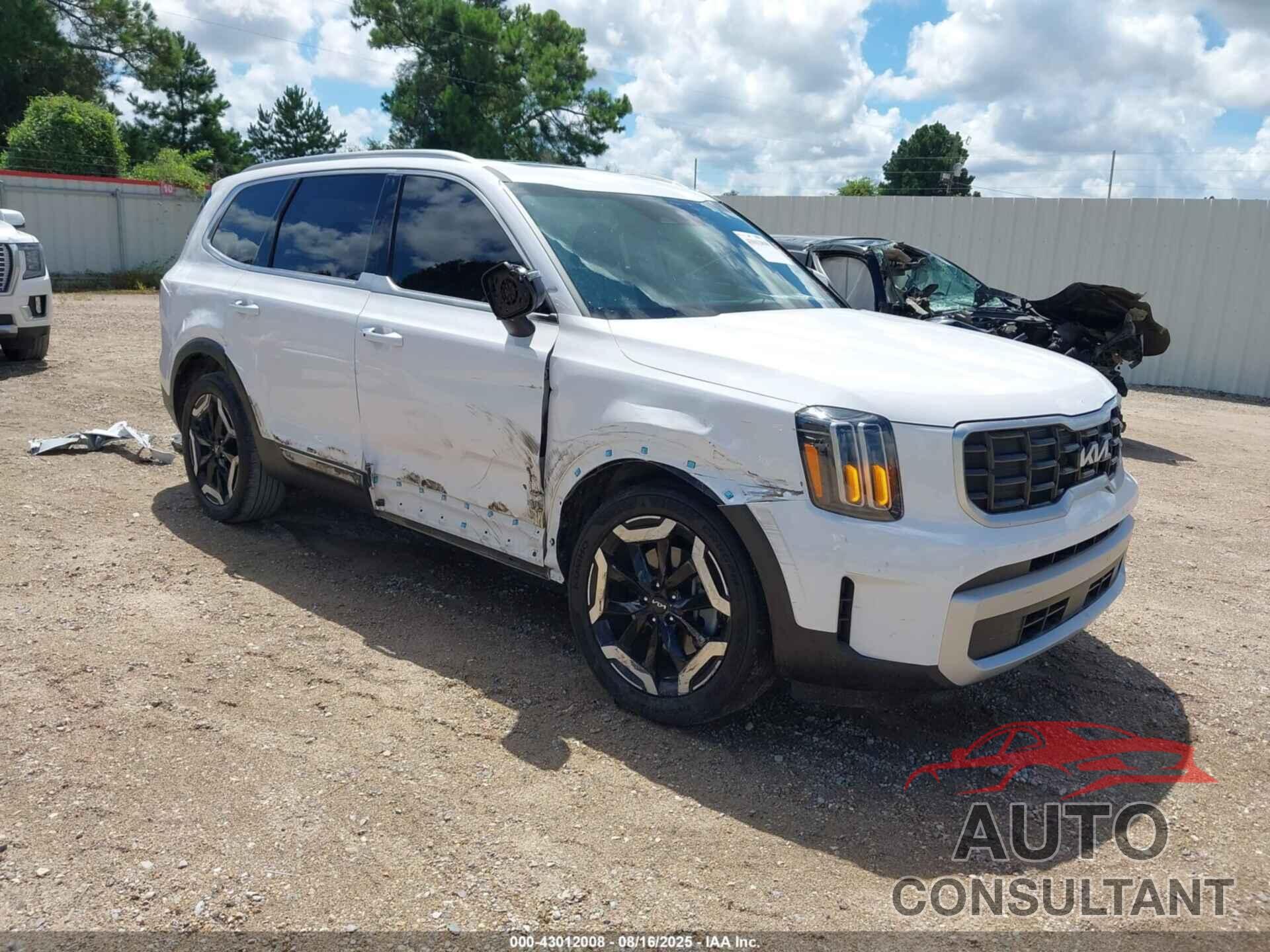 KIA TELLURIDE 2024 - 5XYP64GC6RG512499