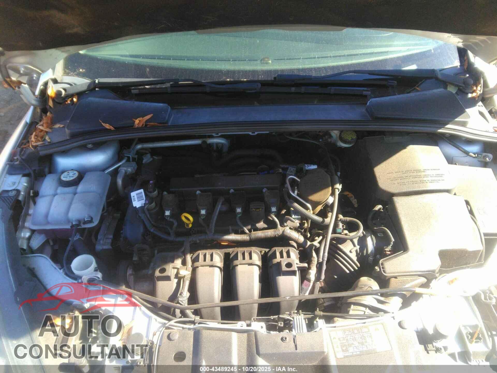 FORD FOCUS 2015 - 1FADP3F29FL239017