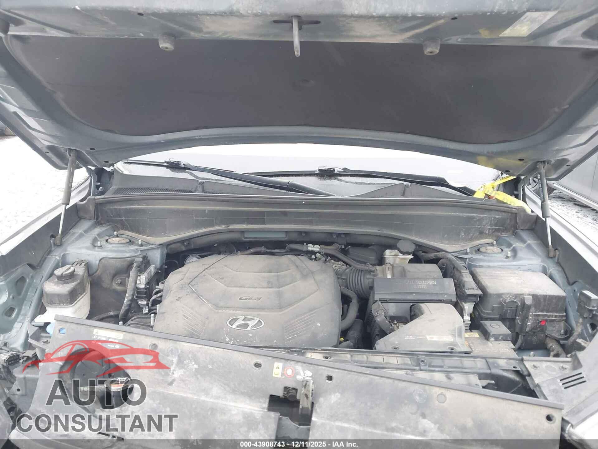 HYUNDAI PALISADE 2020 - KM8R5DHE3LU085991