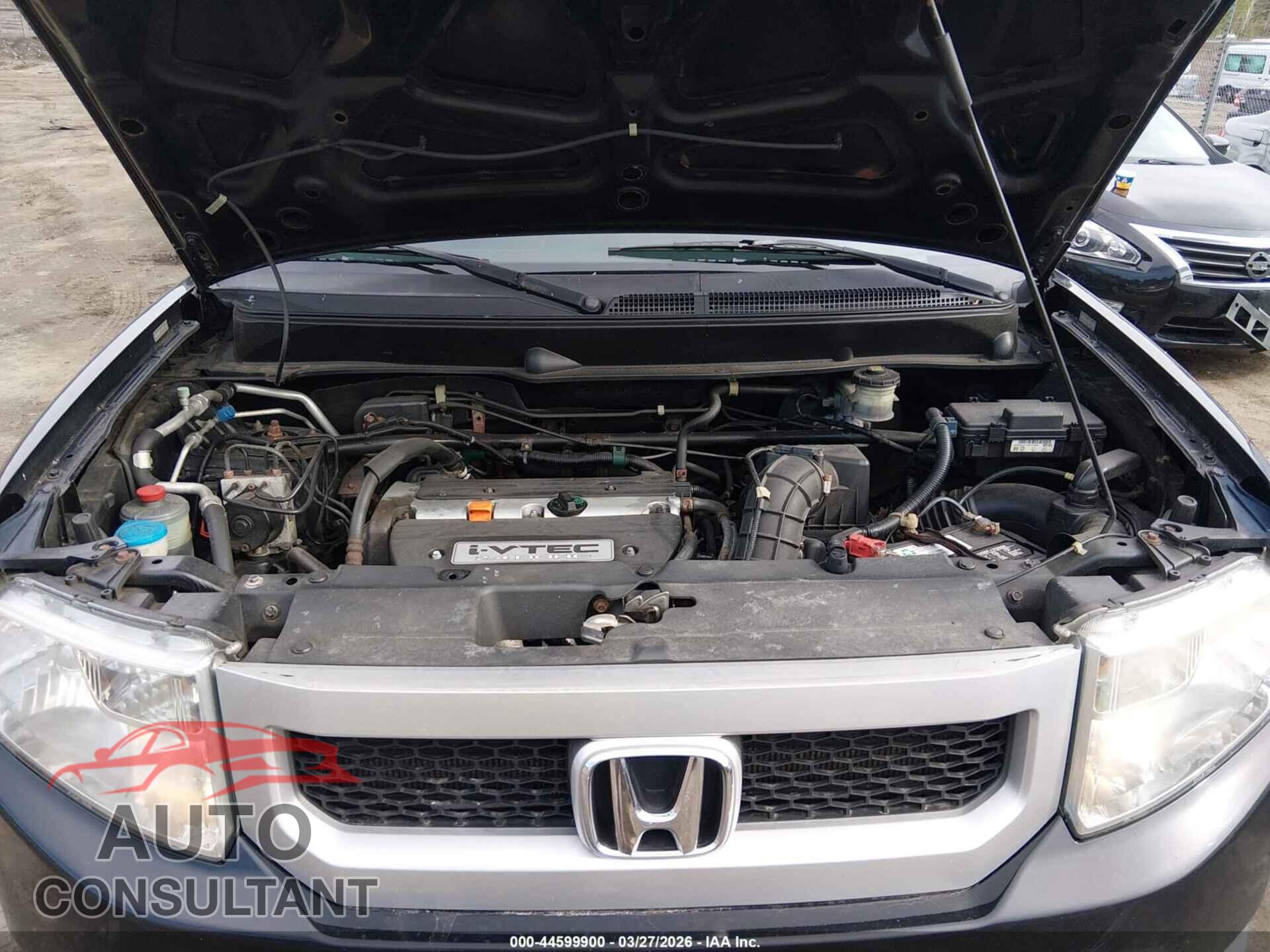HONDA ELEMENT 2011 - 5J6YH2H33BL003802