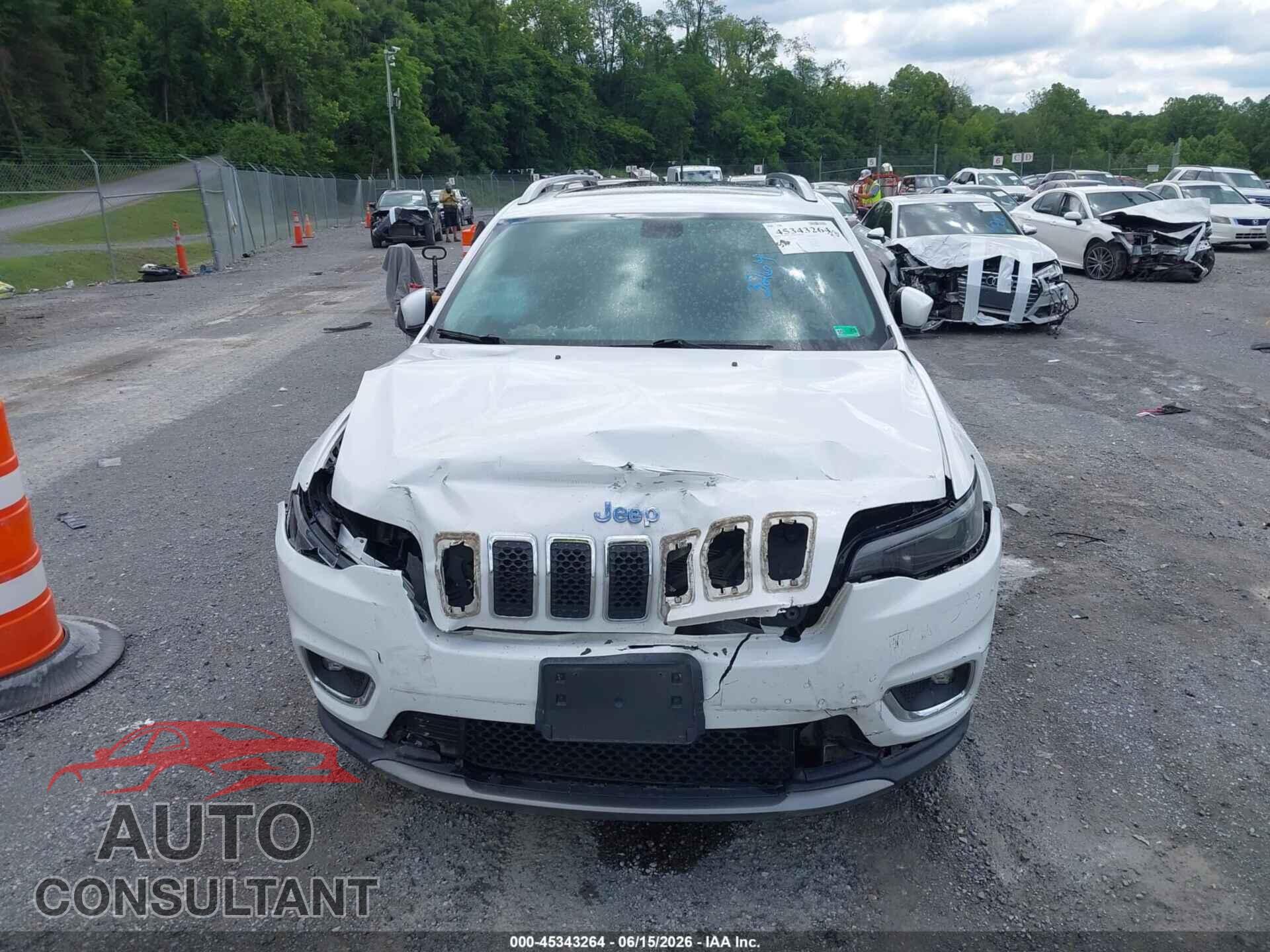 JEEP CHEROKEE 2019 - 1C4PJMDX2KD236610
