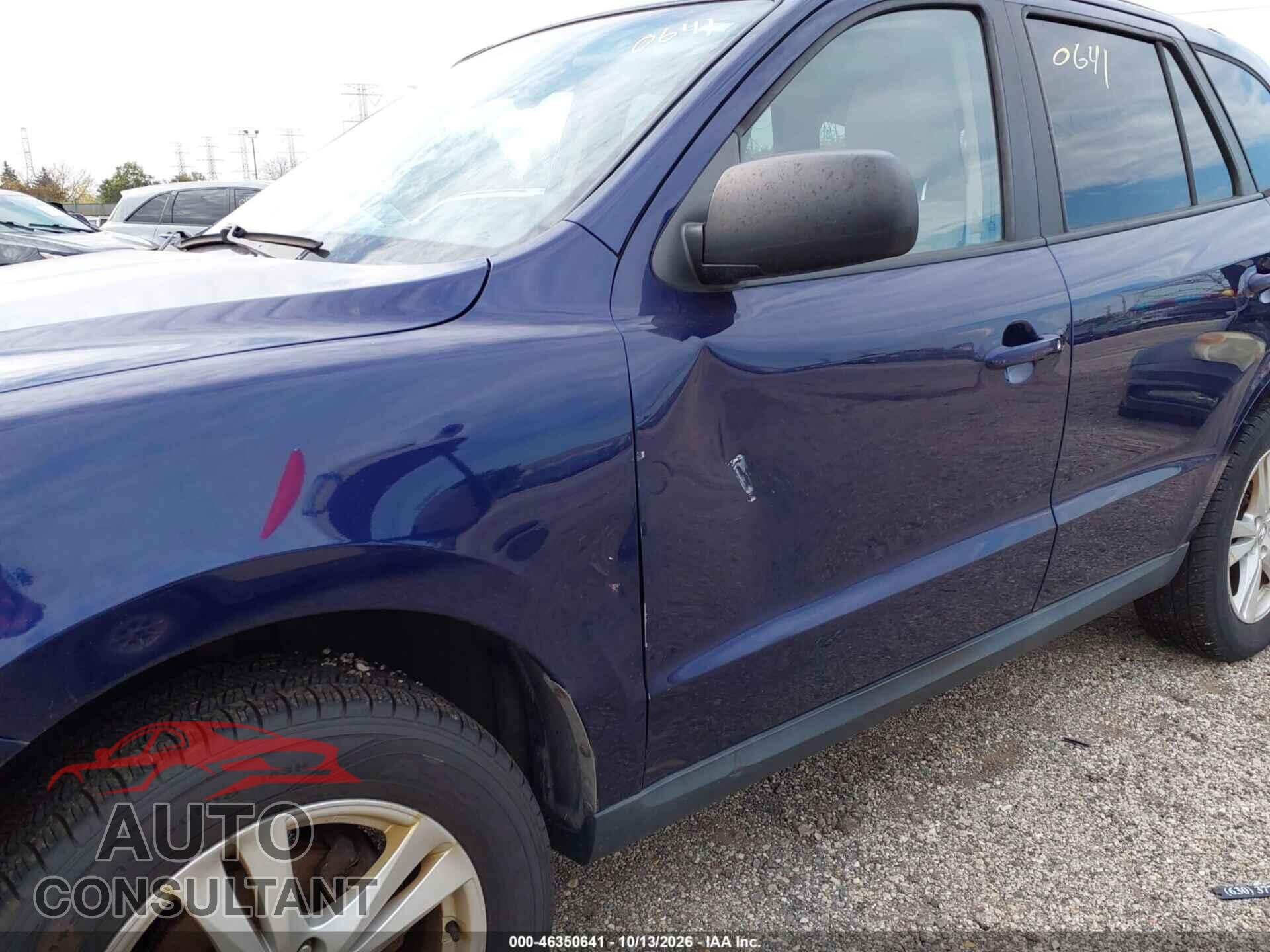 HYUNDAI SANTA FE 2010 - 5NMSGDAB3AH404360