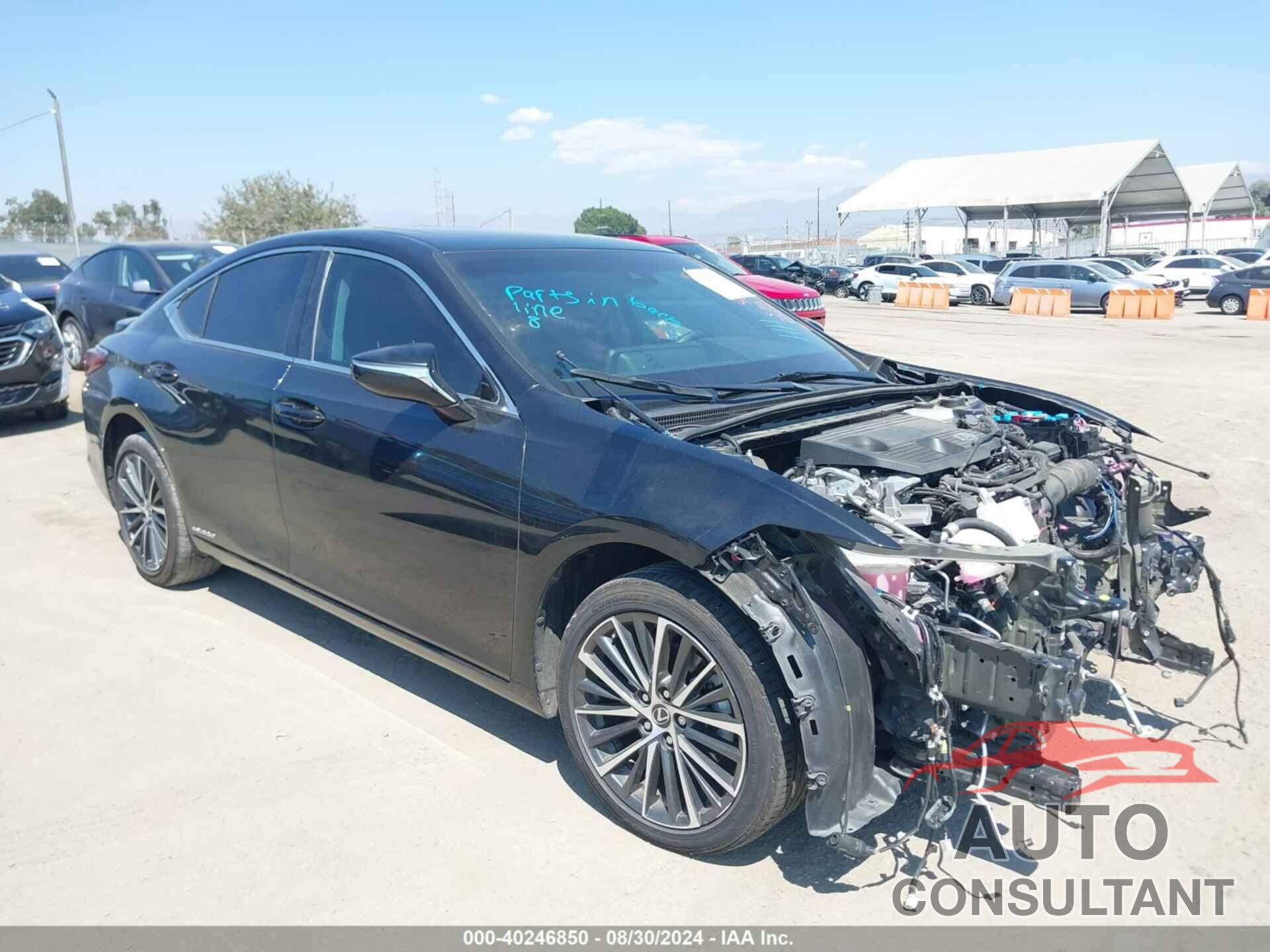 LEXUS ES 300H 2022 - 58ADA1C18NU025676