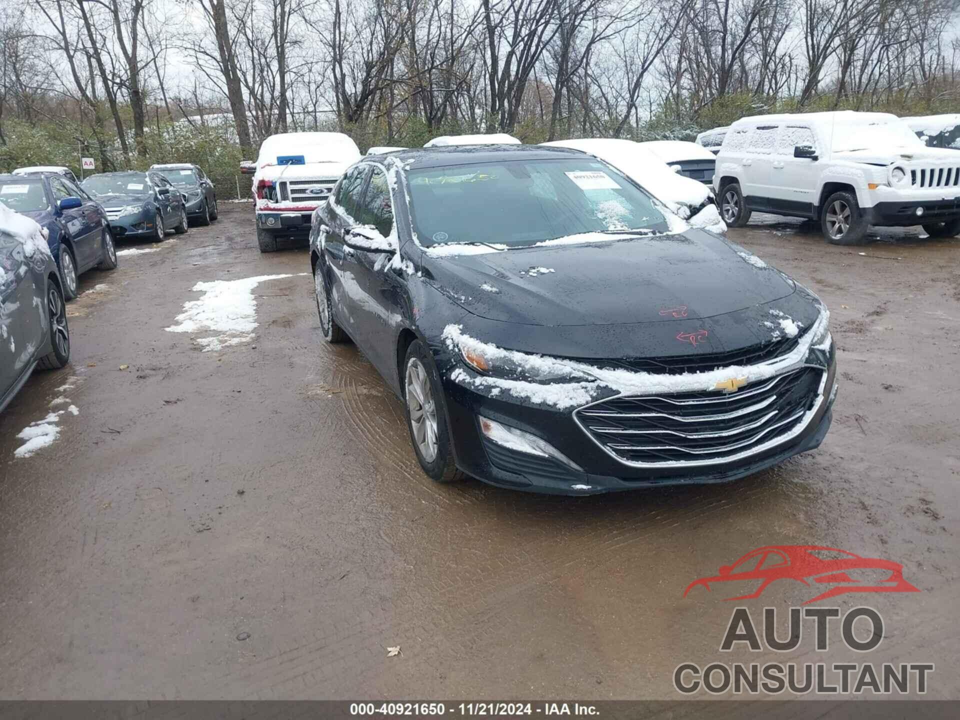 CHEVROLET MALIBU 2019 - 1G1ZD5ST5KF163056