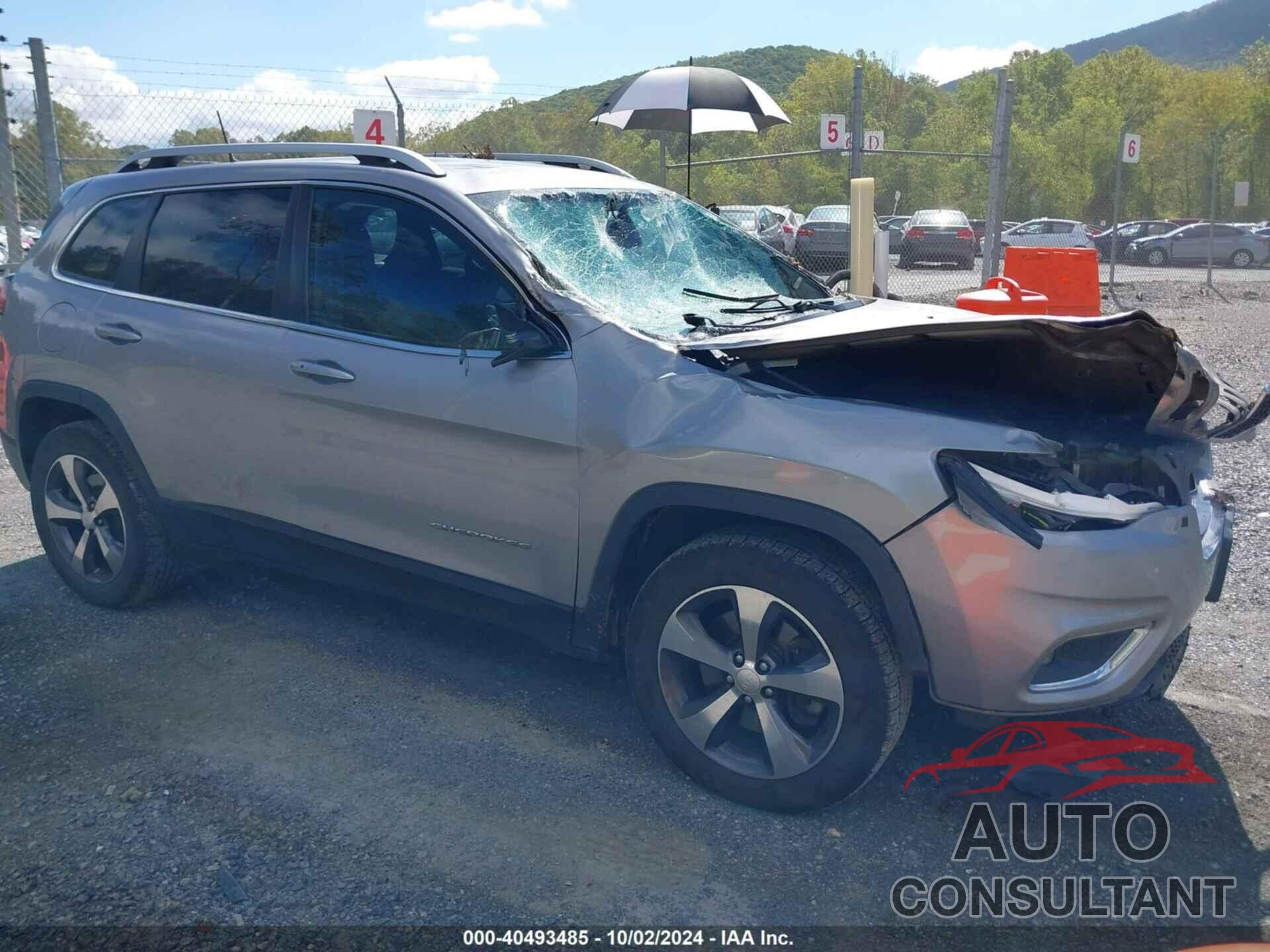 JEEP CHEROKEE 2019 - 1C4PJMDX2KD113924