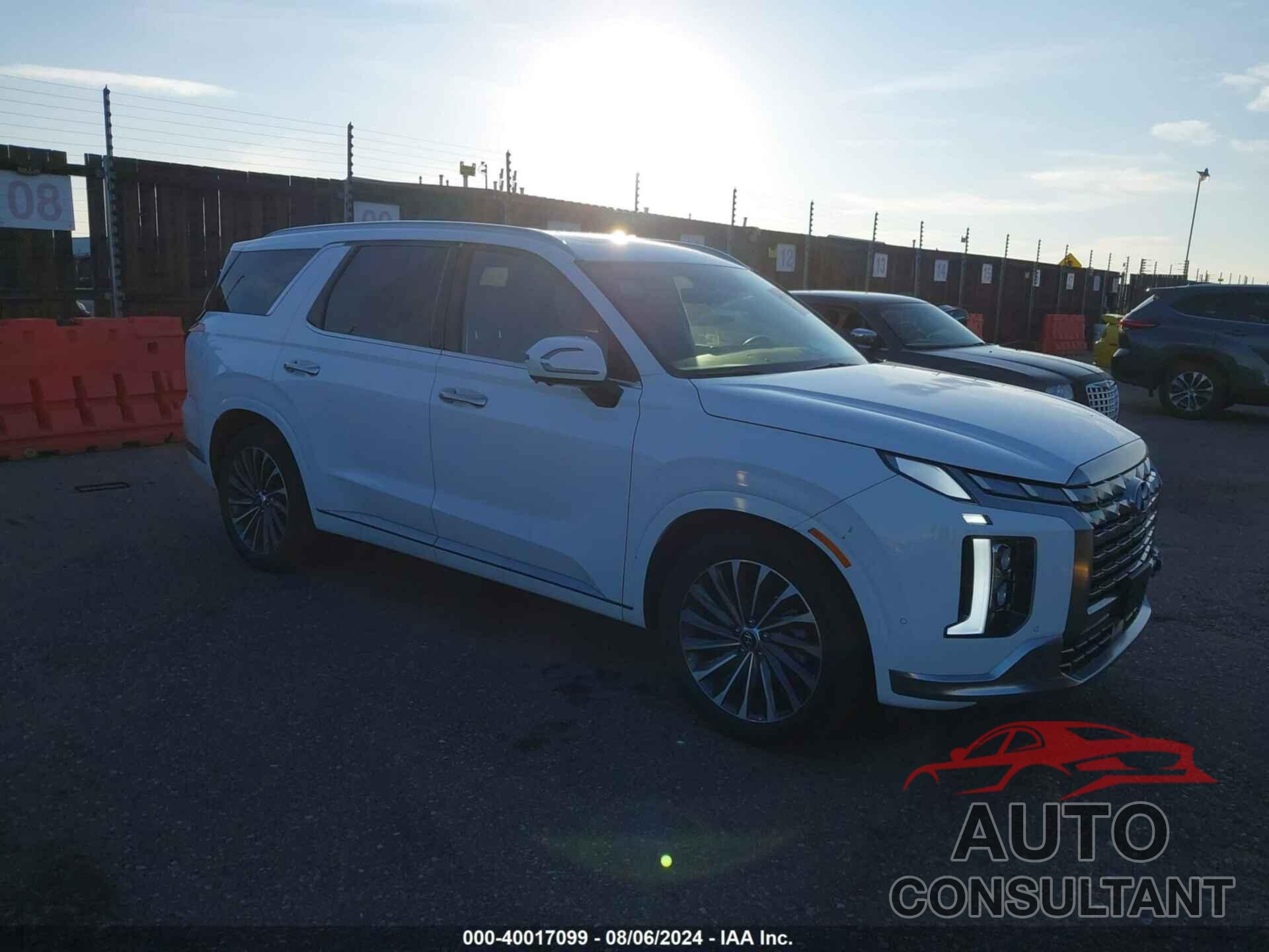 HYUNDAI PALISADE 2024 - KM8R7DGE9RU704758