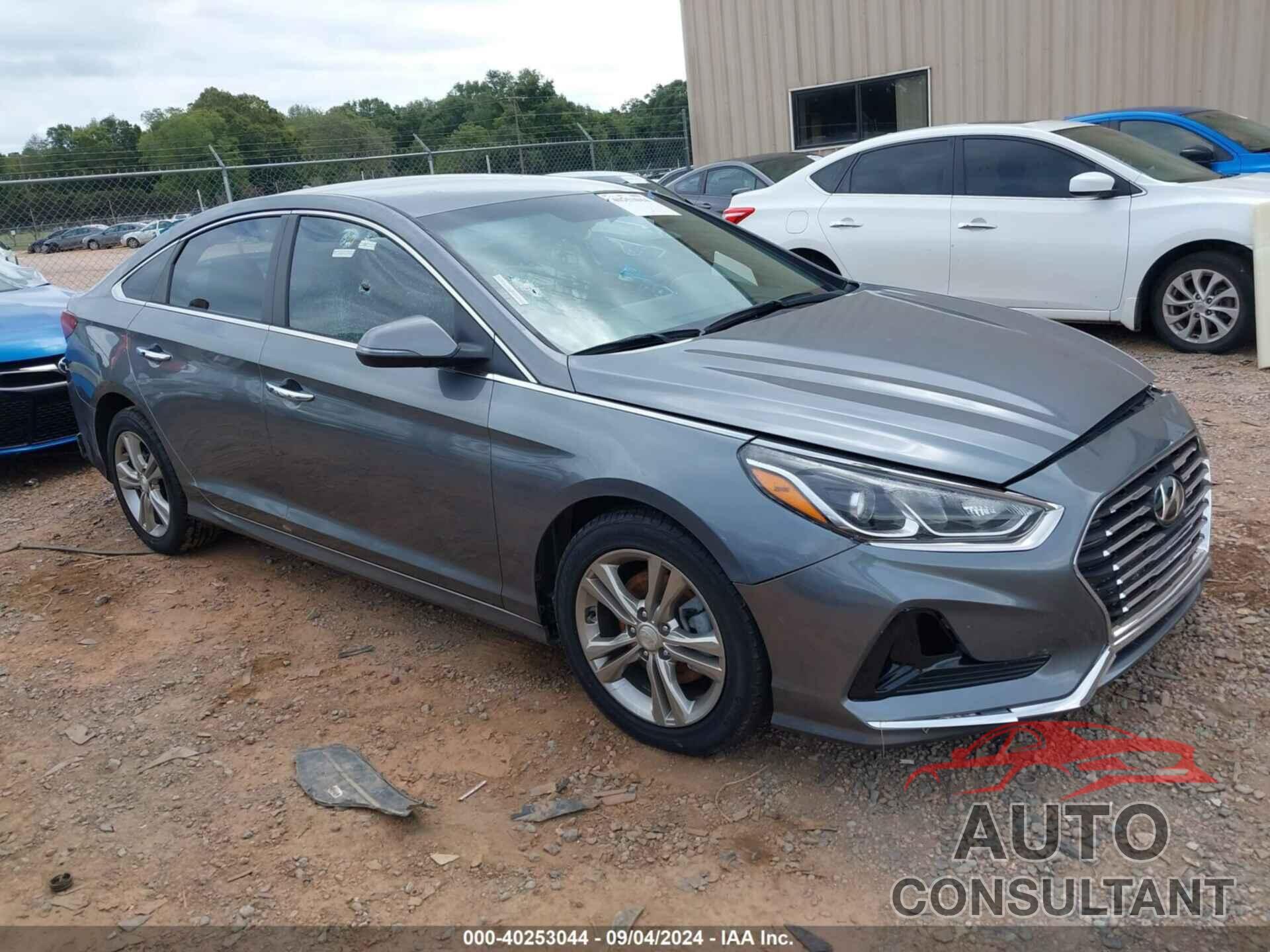 HYUNDAI SONATA 2019 - 5NPE34AF4KH737232
