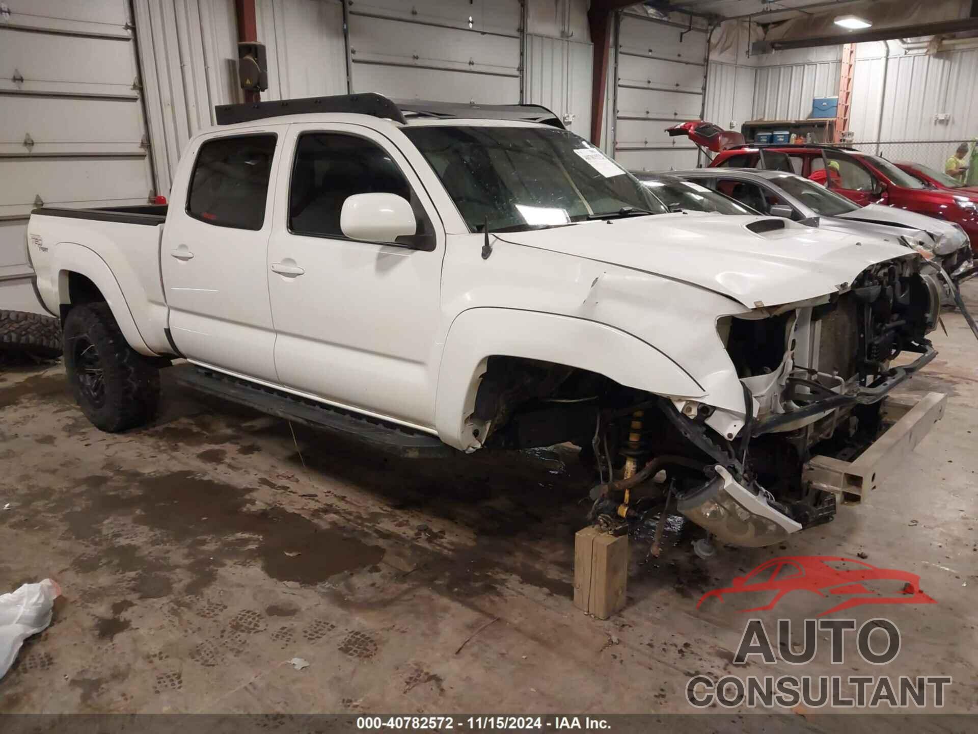 TOYOTA TACOMA 2009 - 5TEMU52N99Z596153
