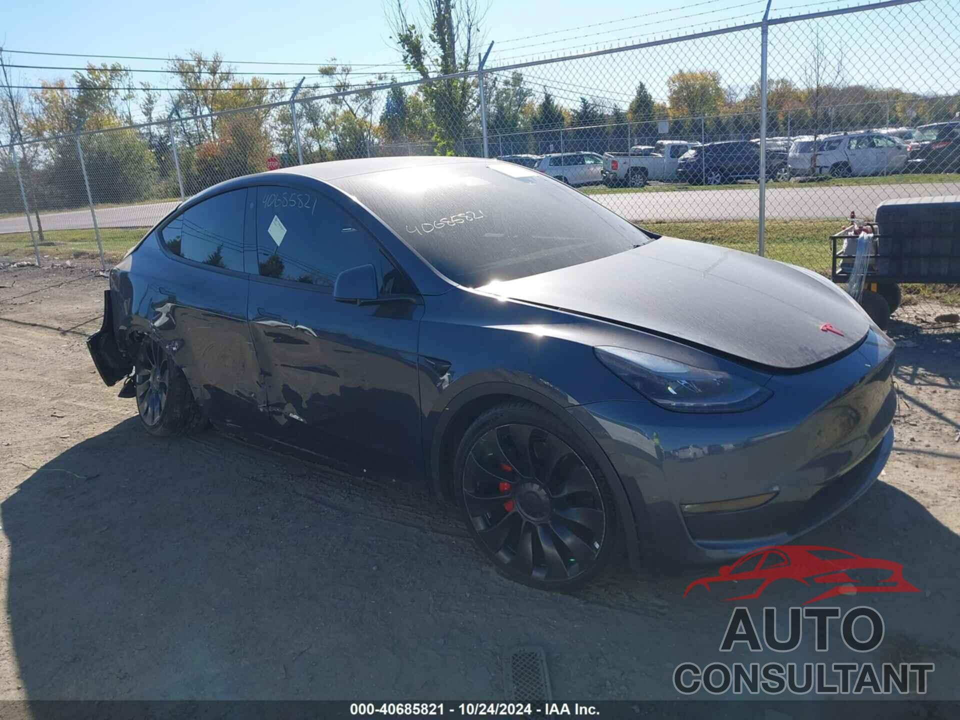 TESLA MODEL Y 2022 - 7SAYGDEF7NF397558