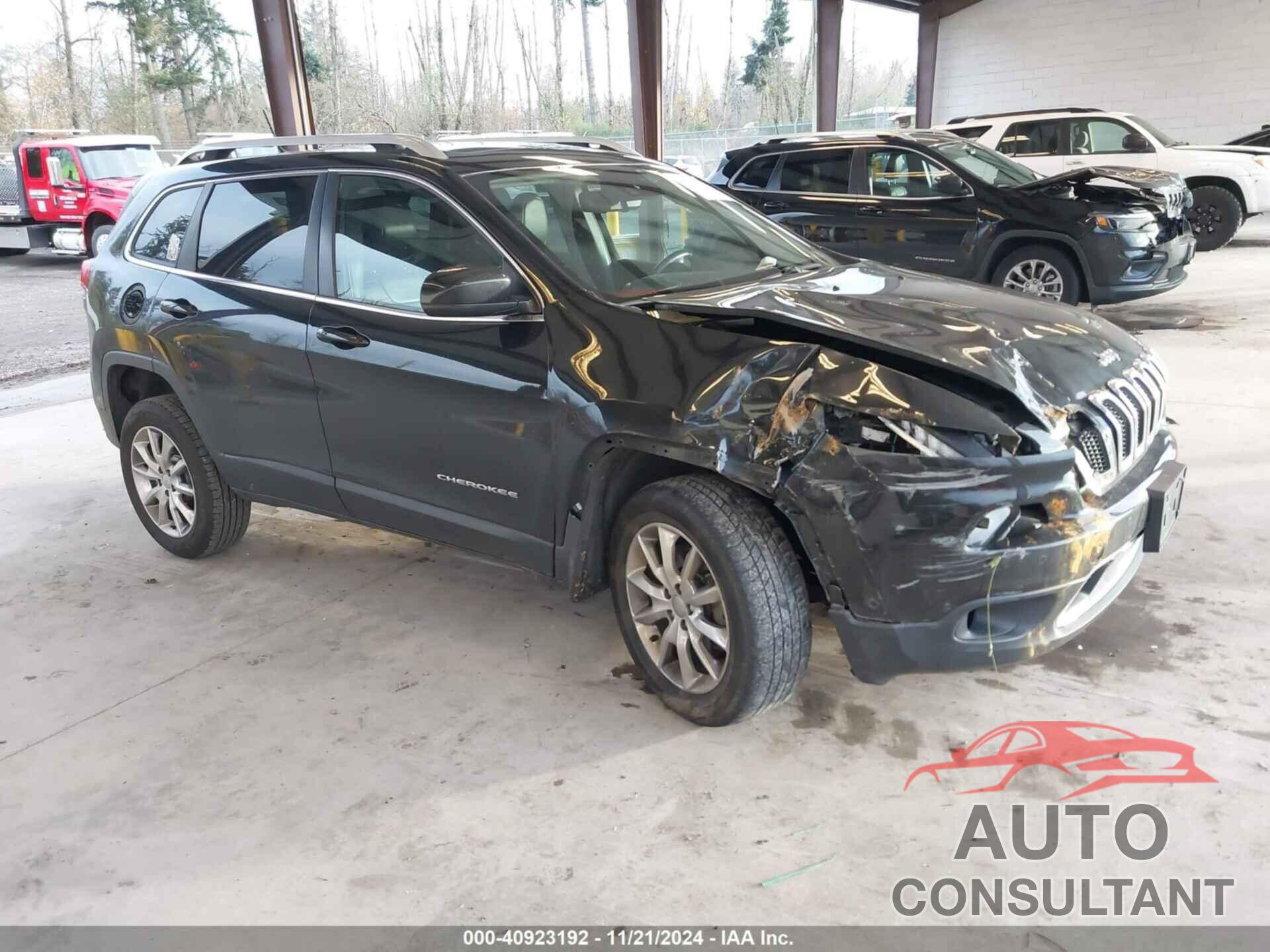 JEEP CHEROKEE 2014 - 1C4PJMDS3EW133872