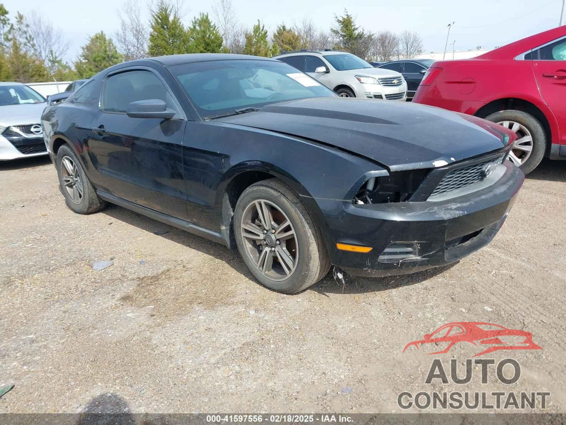 FORD MUSTANG 2011 - 1ZVBP8AMXB5113865